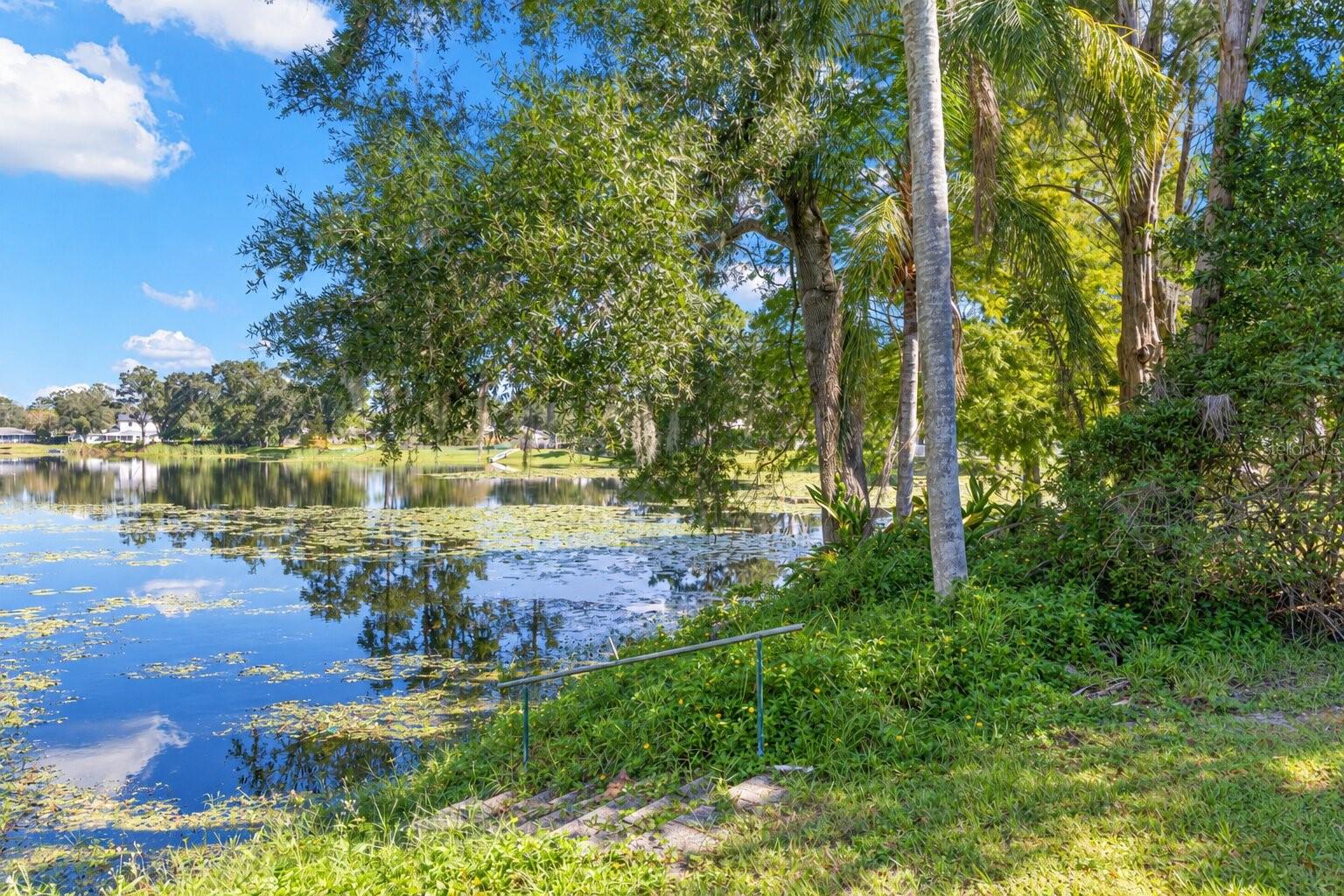 Discover a peaceful waterfront retreat right in your backyard! Mature trees and tropical greenery frame the picturesque pond, where shimmering reflections and natural surroundings create a beautiful setting. Stone steps with a handrail lead toward the water's edge.
