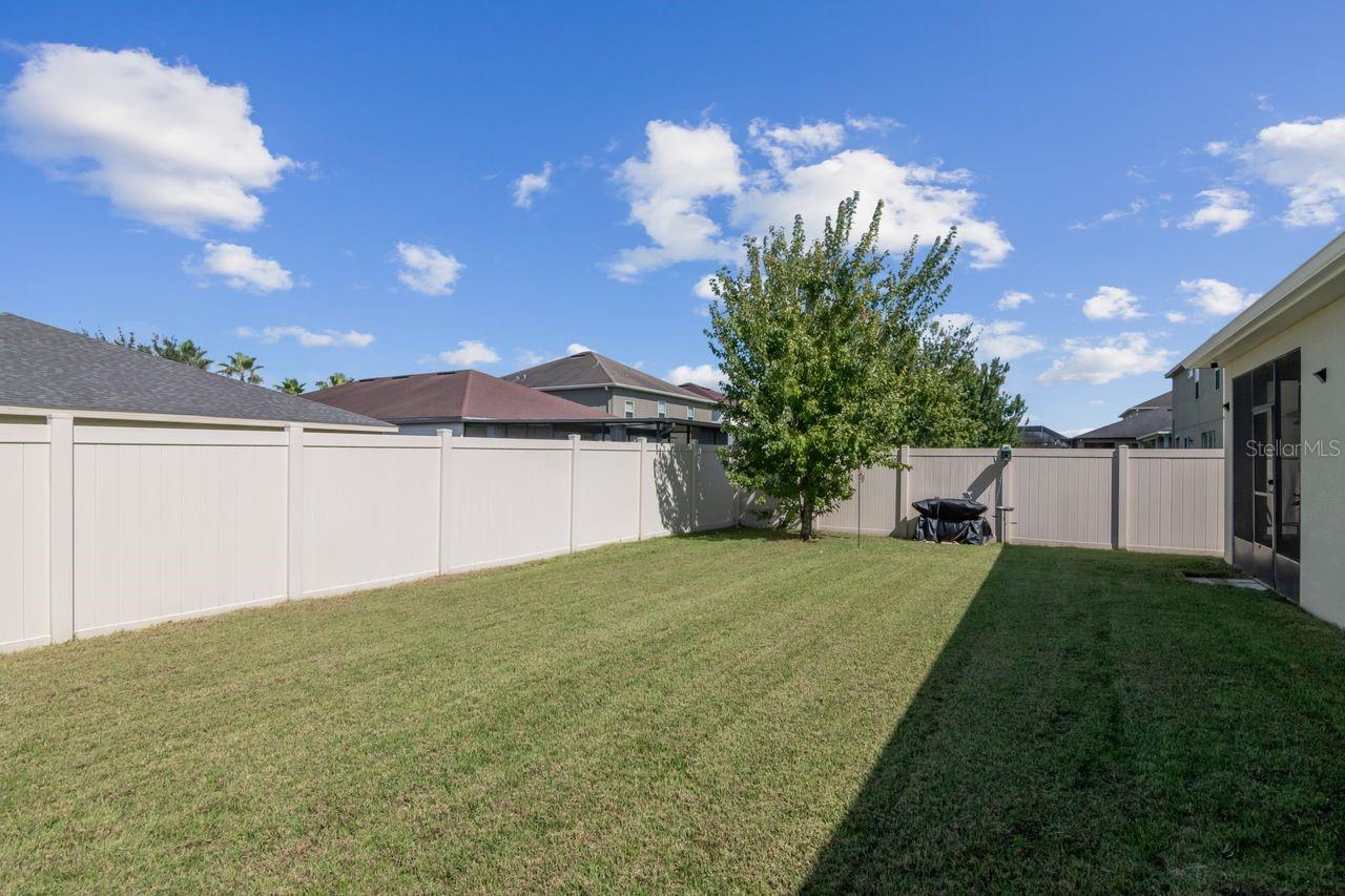 Manicured backyard. Start dreaming of all the possibilities!