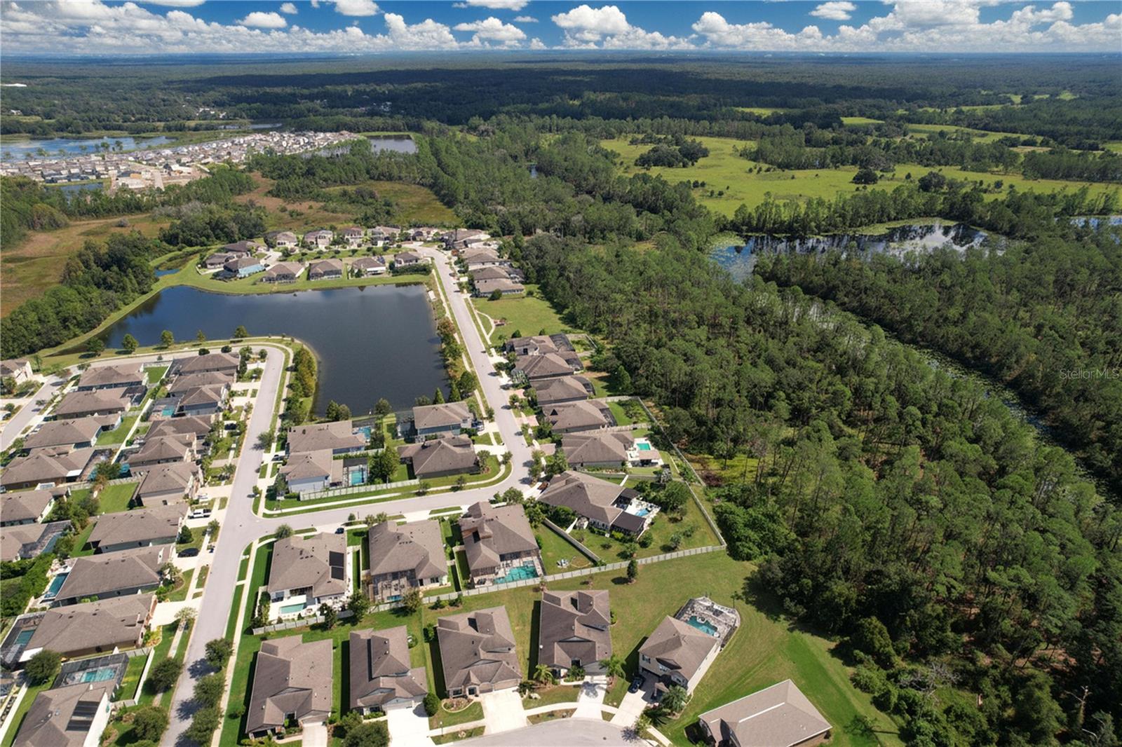 8144 SEQUESTER LOOP, Land O Lakes, FL 34637