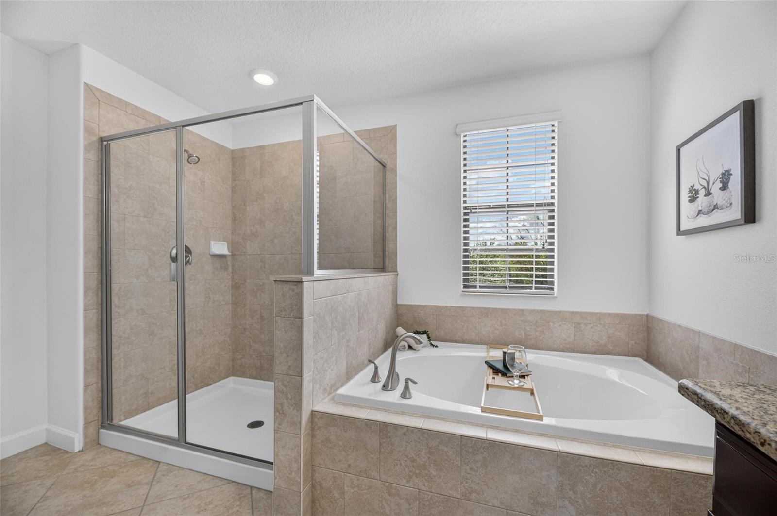 11010 PURPLE MARTIN BOULEVARD, Riverview, FL 33579