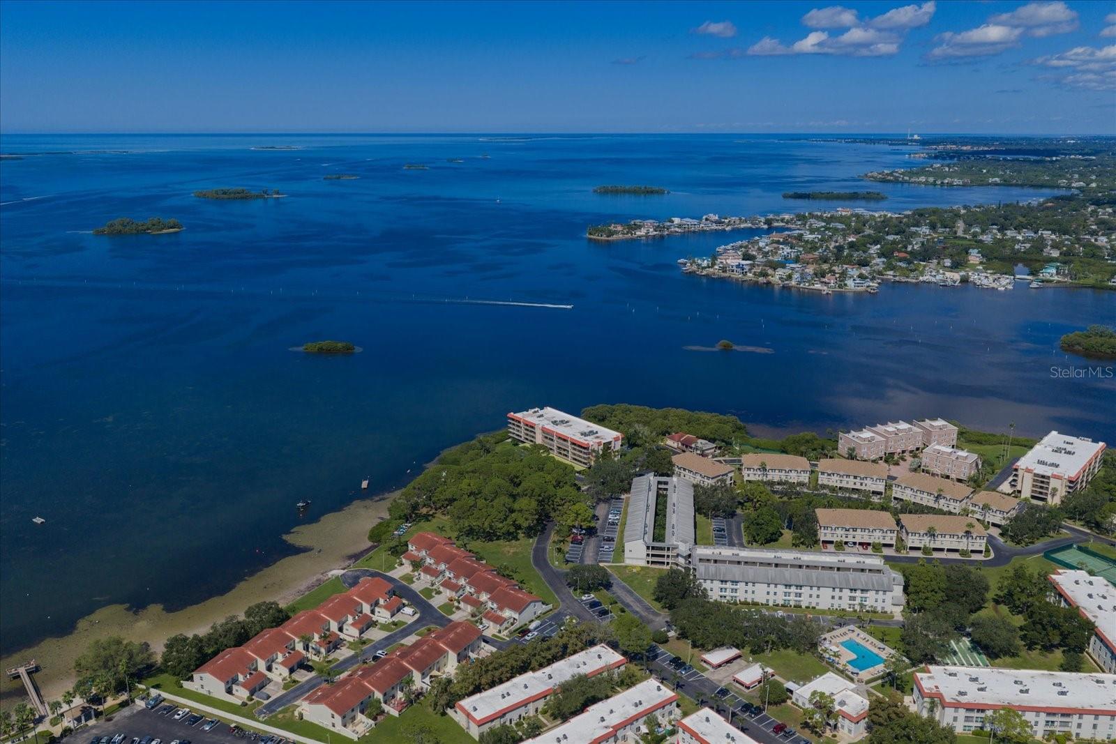 2700 BAYSHORE BOULEVARD, #11404, Dunedin, FL 34698