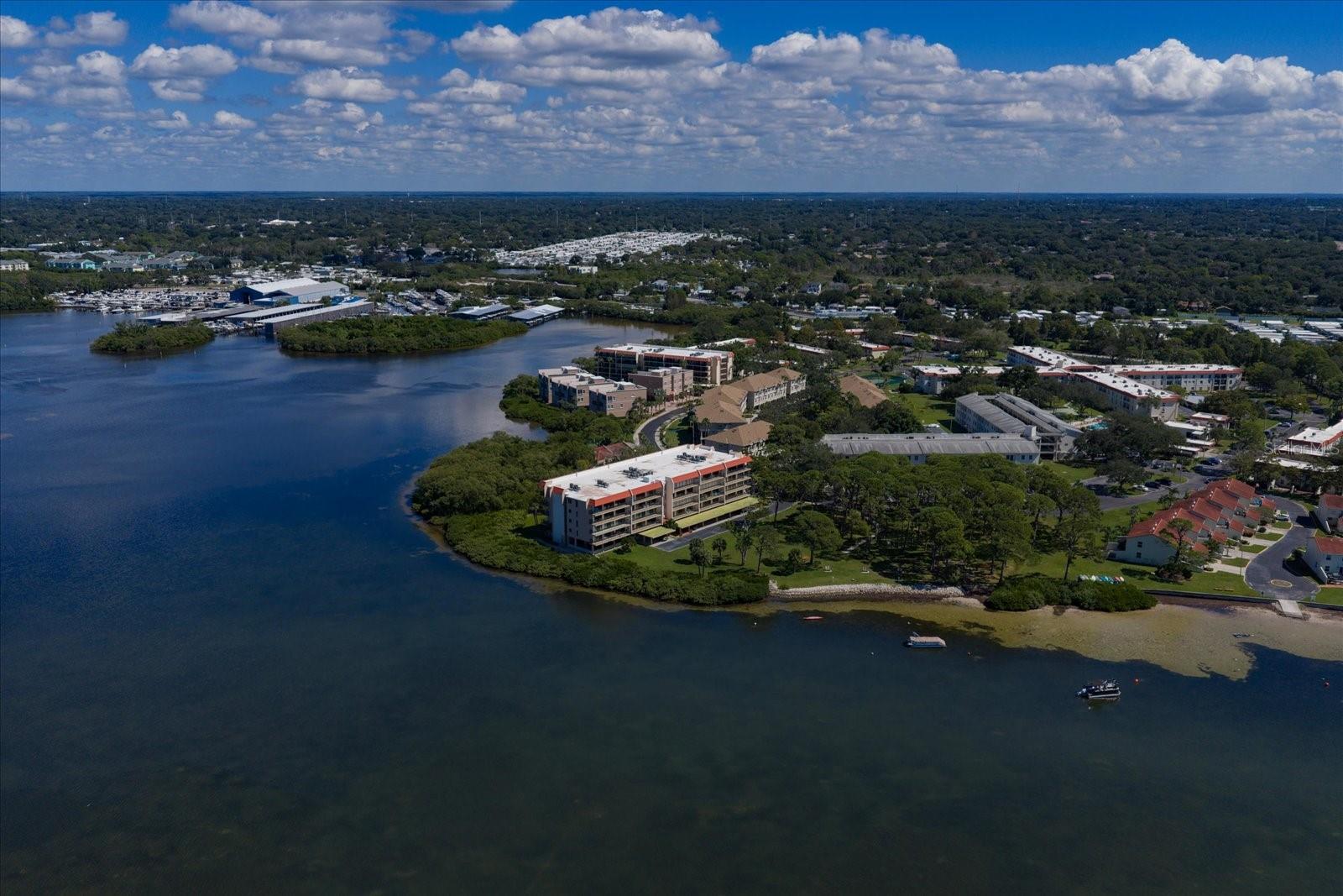 2700 BAYSHORE BOULEVARD, #11404, Dunedin, FL 34698