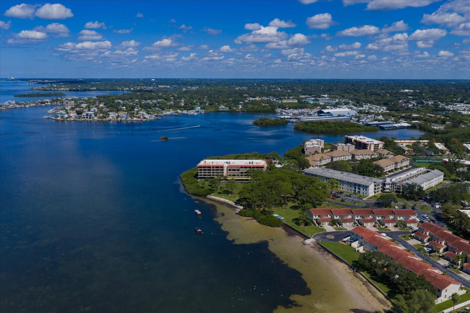 2700 BAYSHORE BOULEVARD, #11404, Dunedin, FL 34698