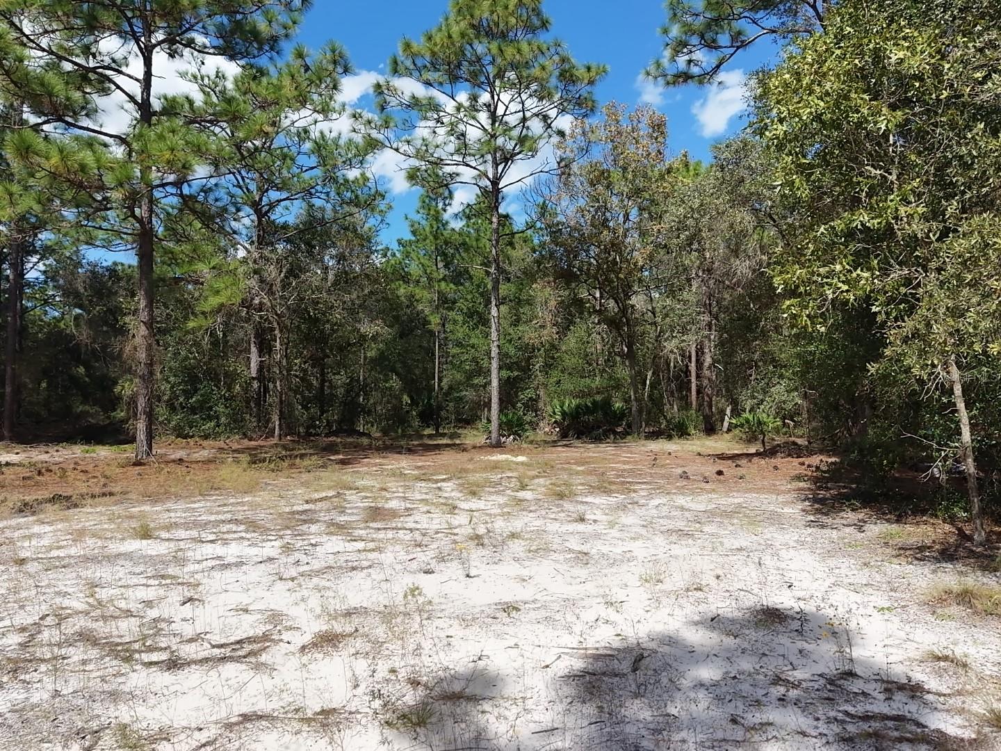 7416 N NATHAN POINT, Crystal River, FL 34428