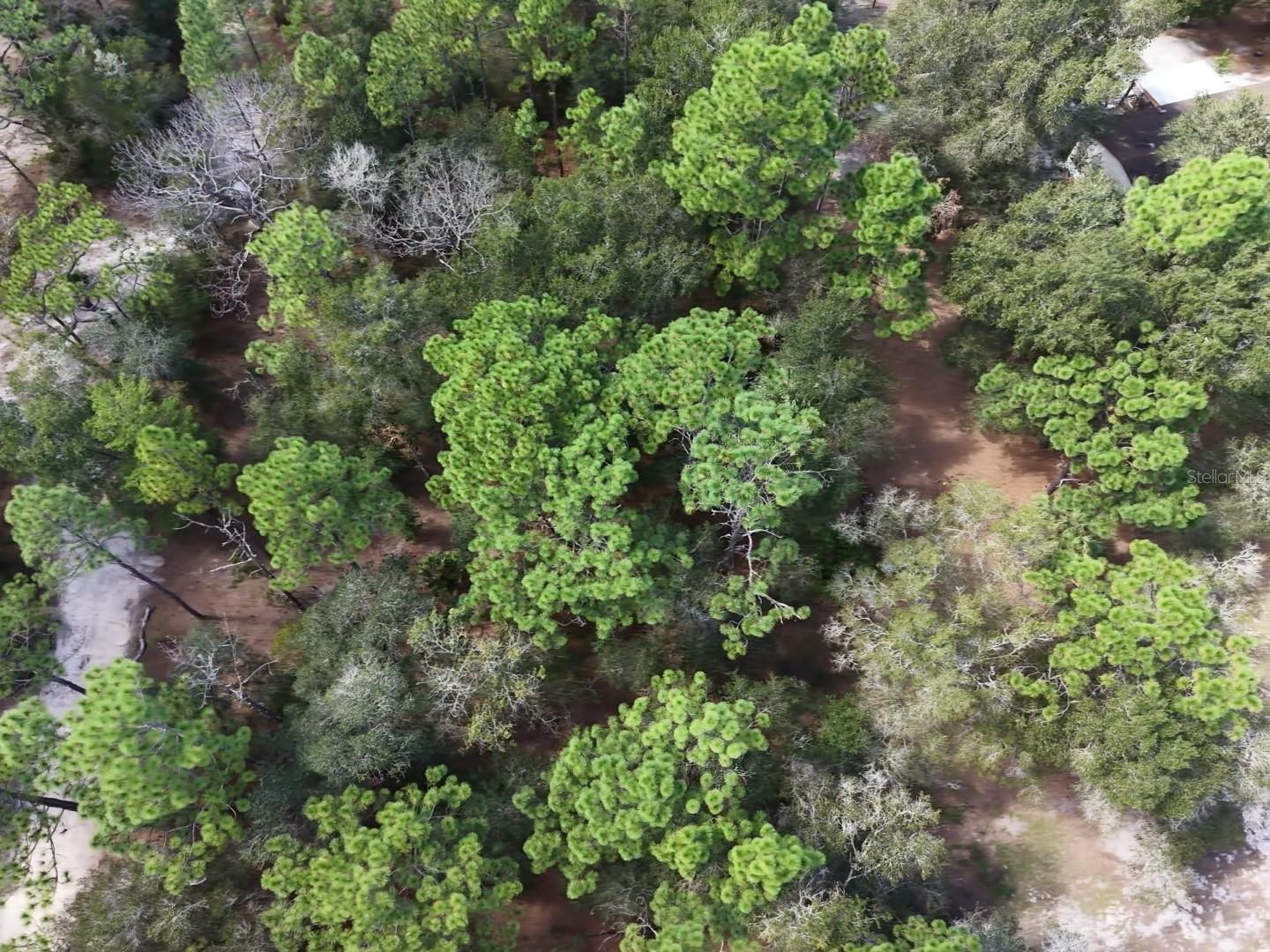 7416 N NATHAN POINT, Crystal River, FL 34428