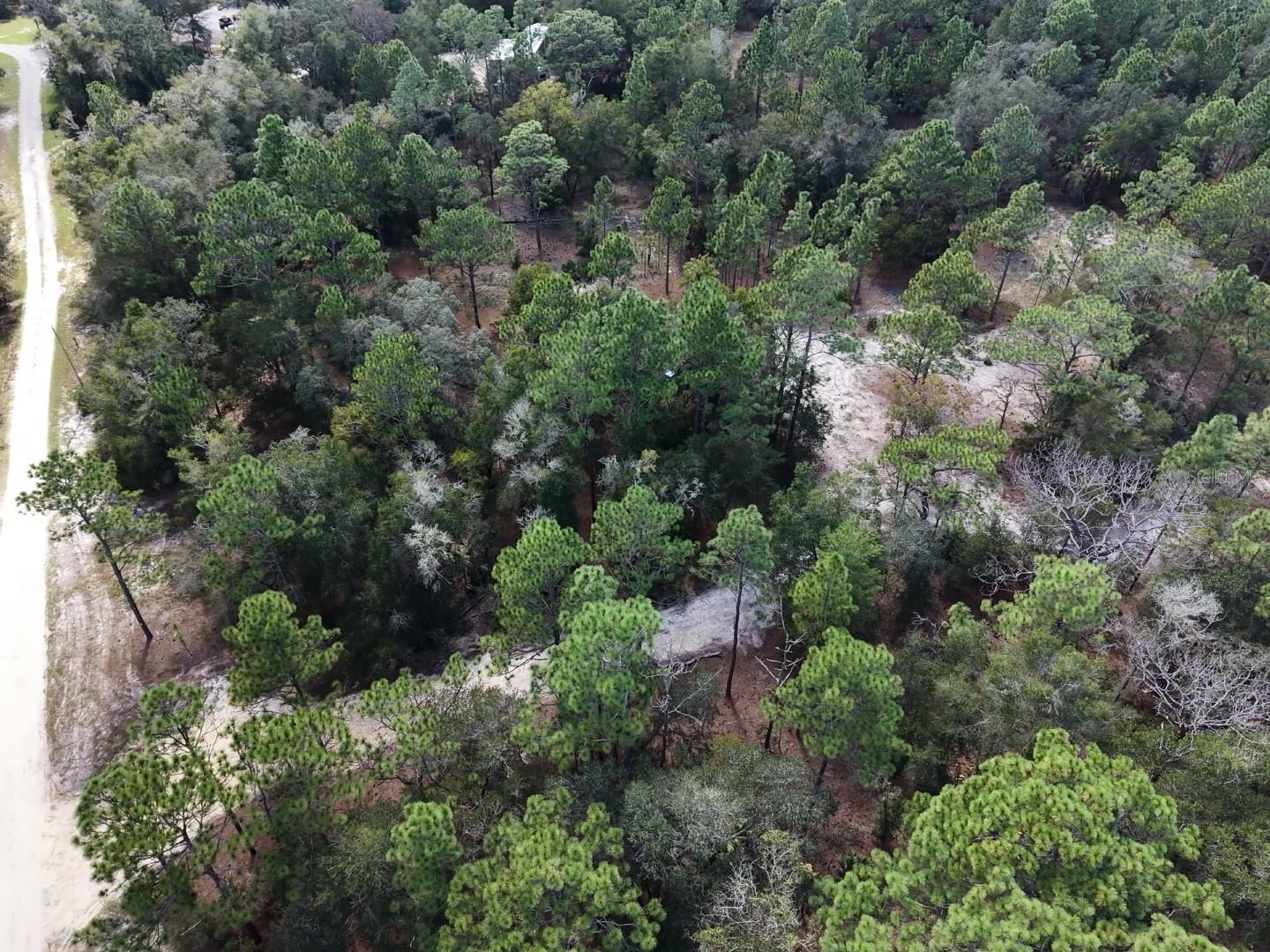 7416 N NATHAN POINT, Crystal River, FL 34428