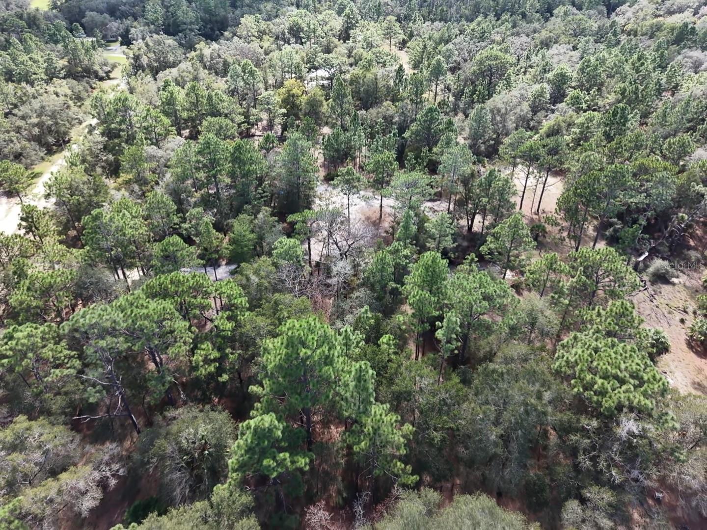 7416 N NATHAN POINT, Crystal River, FL 34428