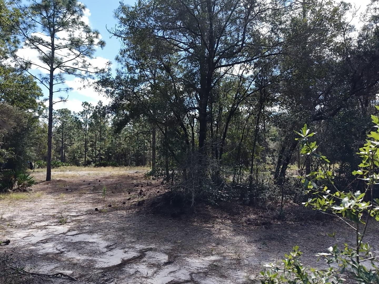 7416 N NATHAN POINT, Crystal River, FL 34428