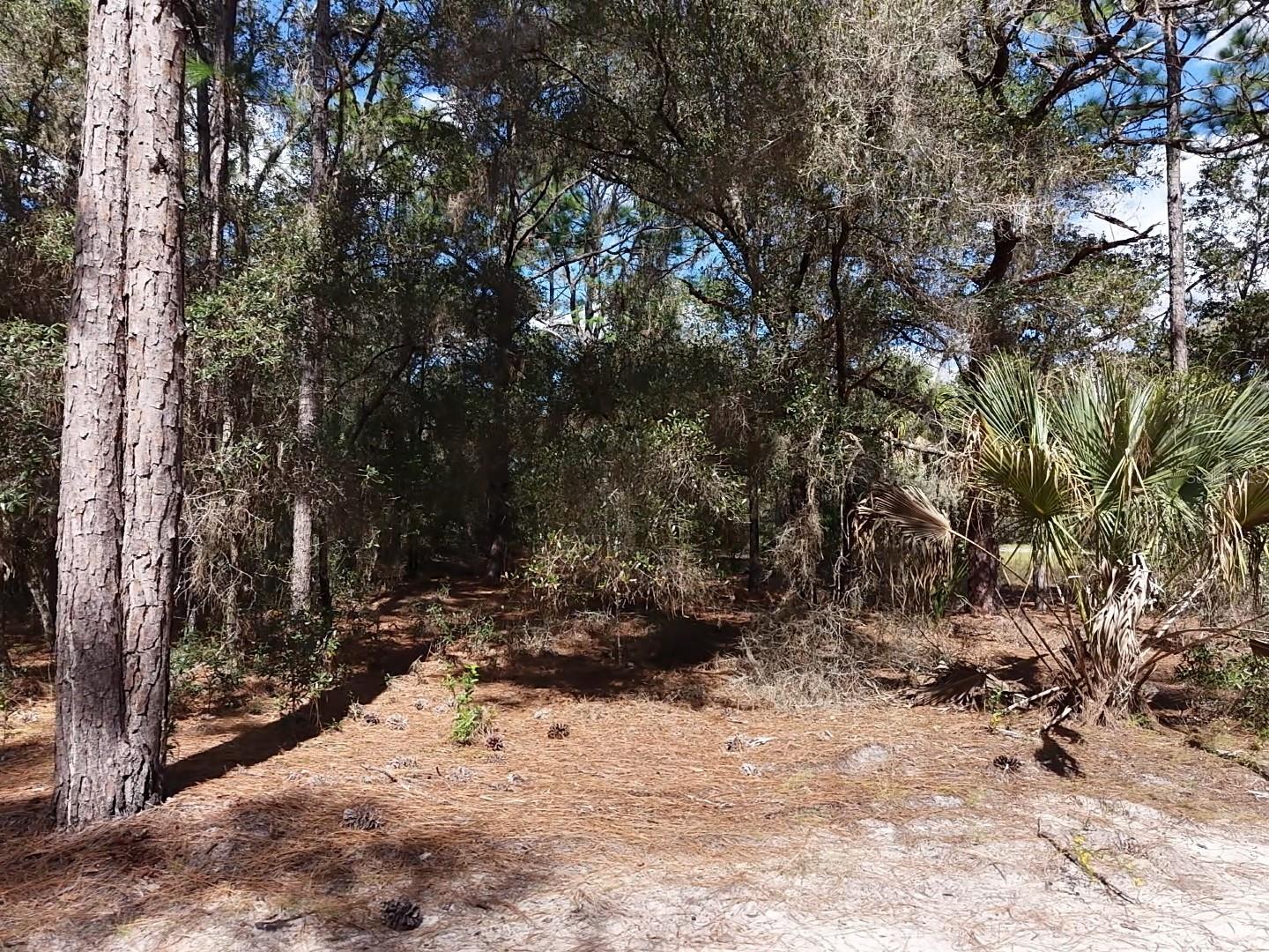 7416 N NATHAN POINT, Crystal River, FL 34428