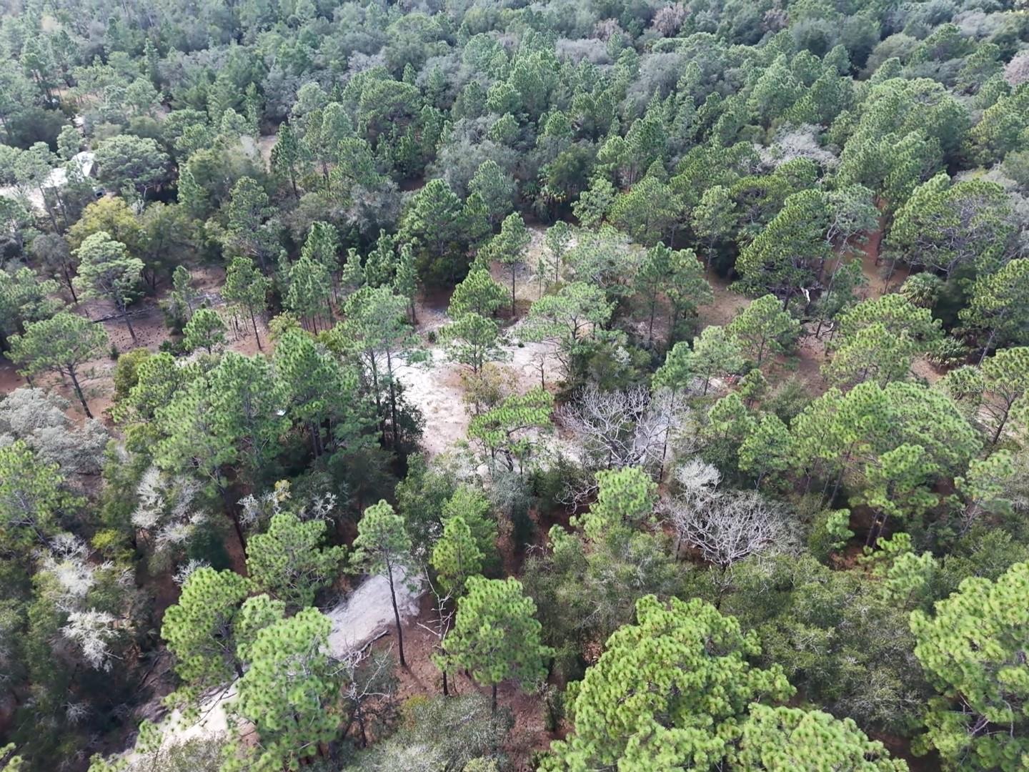 7416 N NATHAN POINT, Crystal River, FL 34428