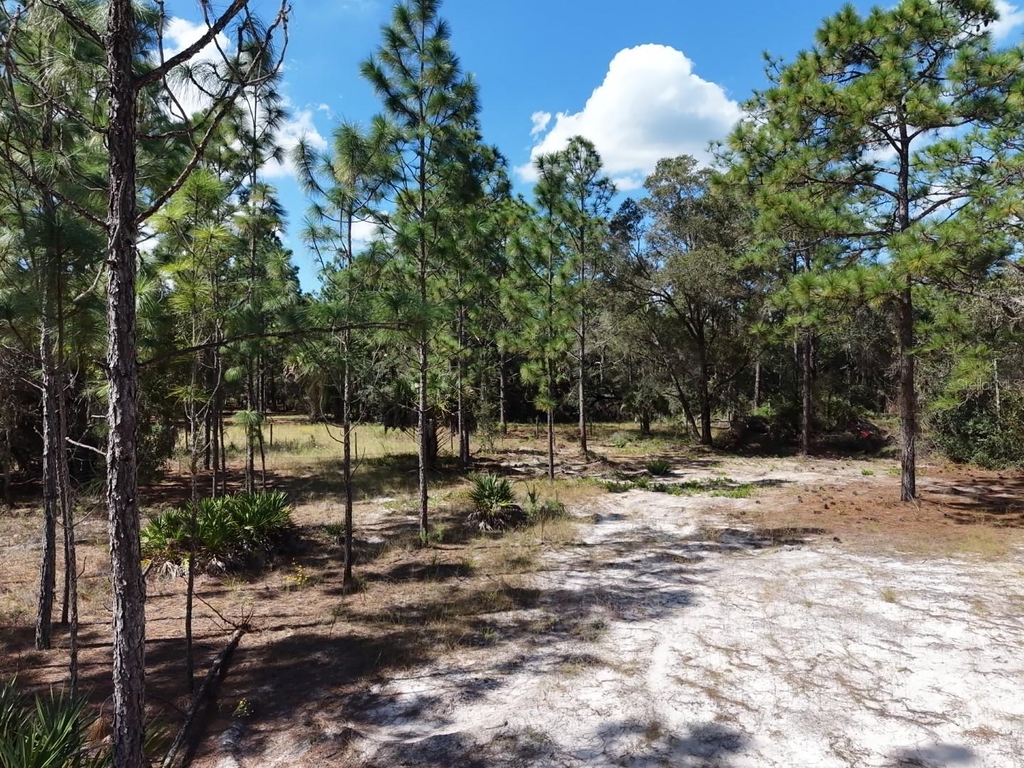 7416 N NATHAN POINT, Crystal River, FL 34428