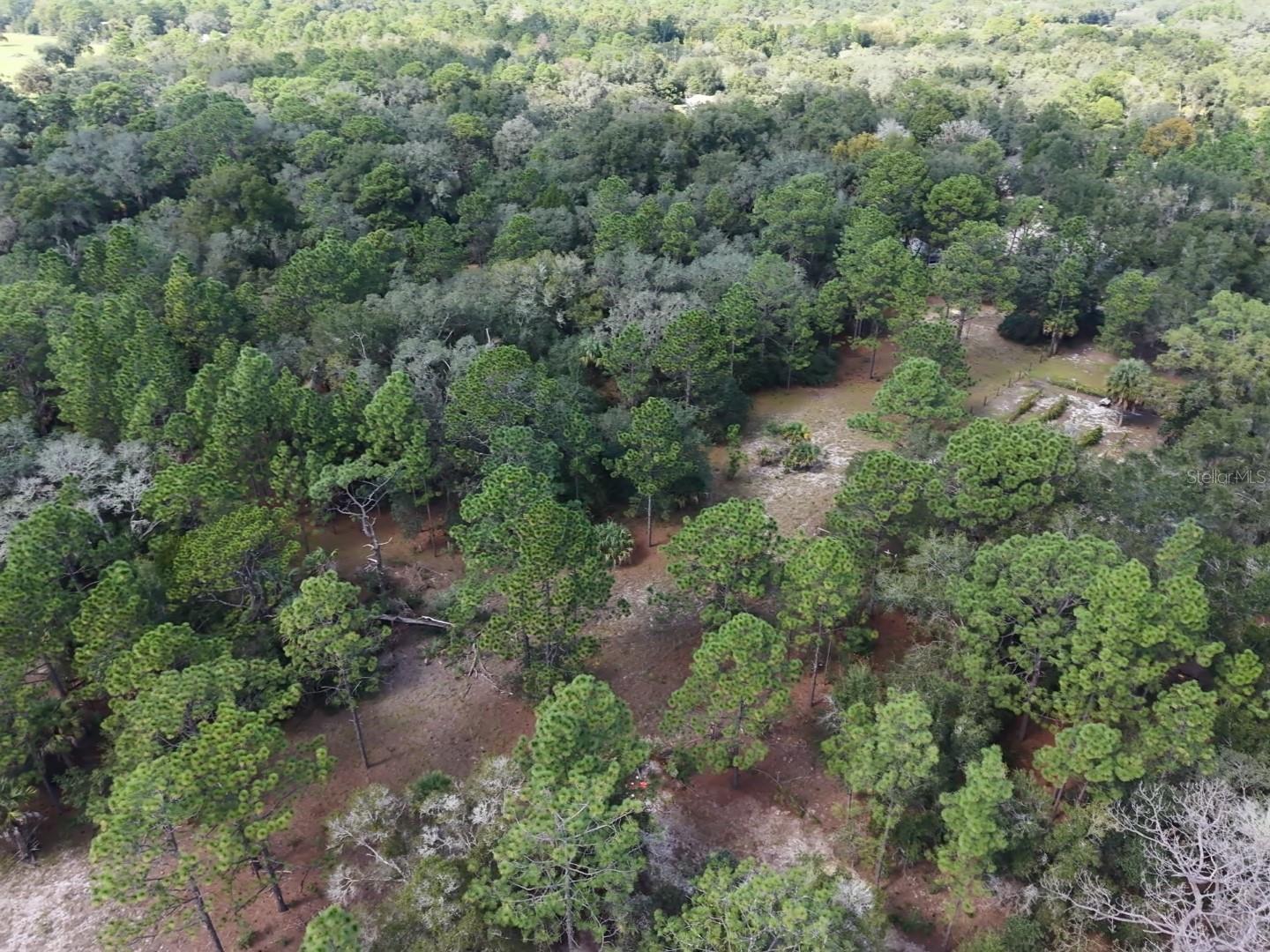 7416 N NATHAN POINT, Crystal River, FL 34428