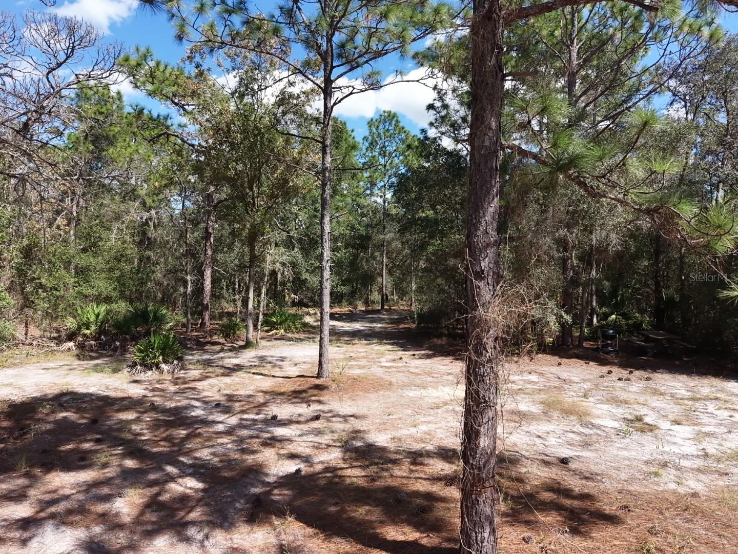 7416 N NATHAN POINT, Crystal River, FL 34428