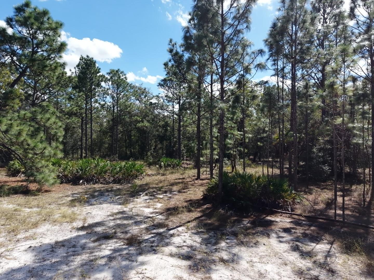 7416 N NATHAN POINT, Crystal River, FL 34428