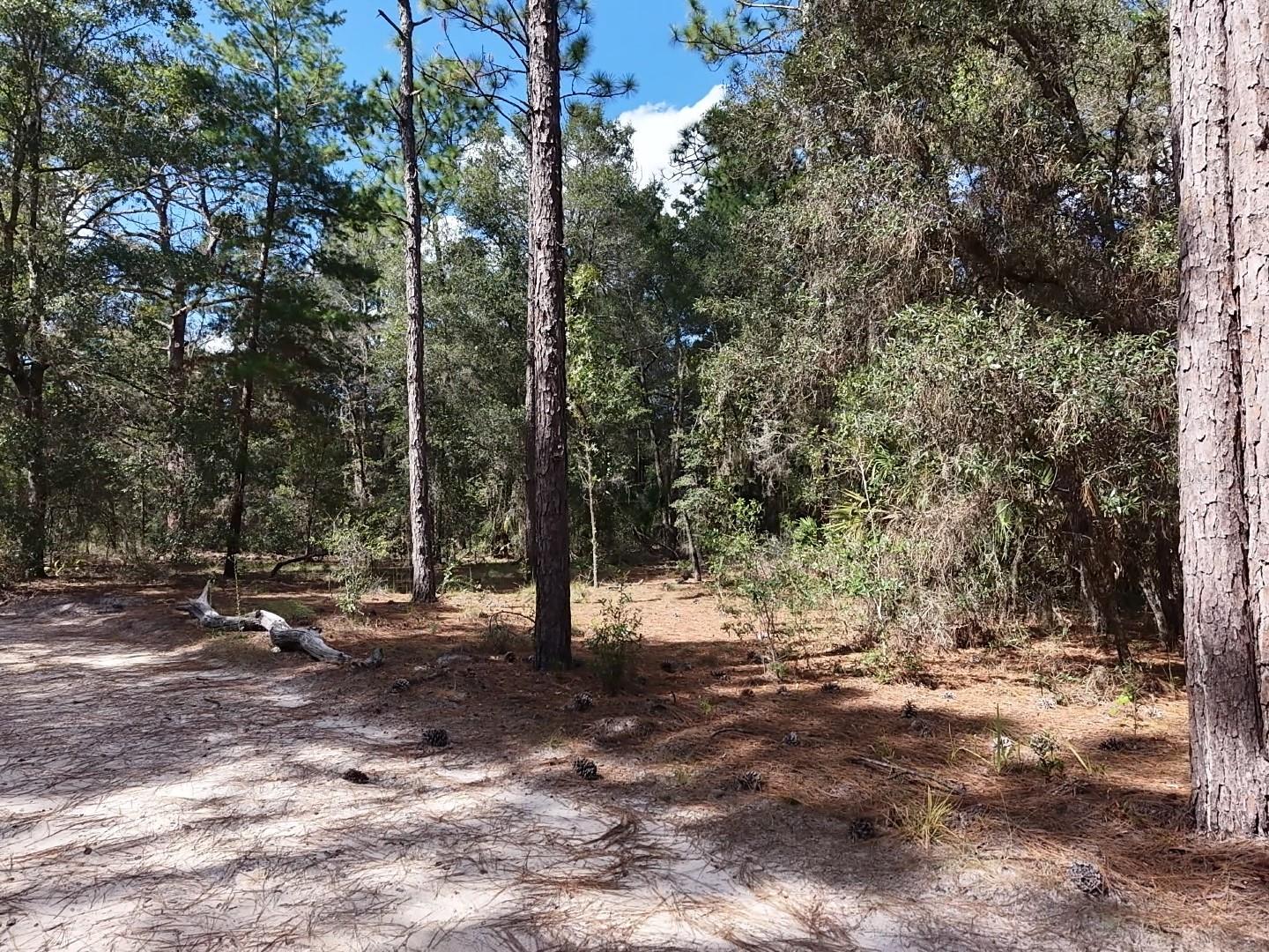 7416 N NATHAN POINT, Crystal River, FL 34428
