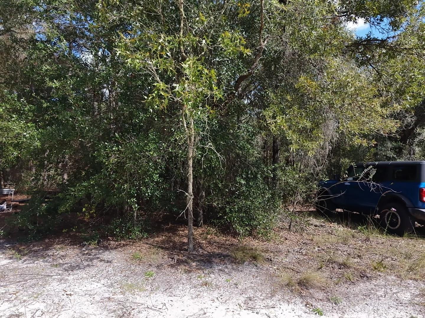 7416 N NATHAN POINT, Crystal River, FL 34428