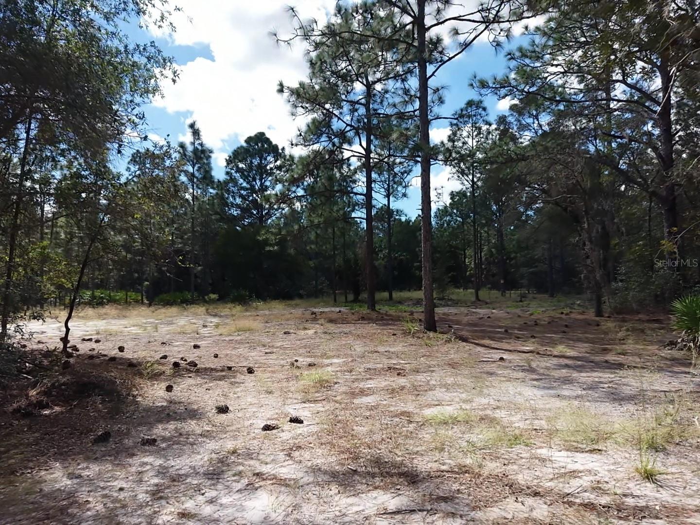 7416 N NATHAN POINT, Crystal River, FL 34428