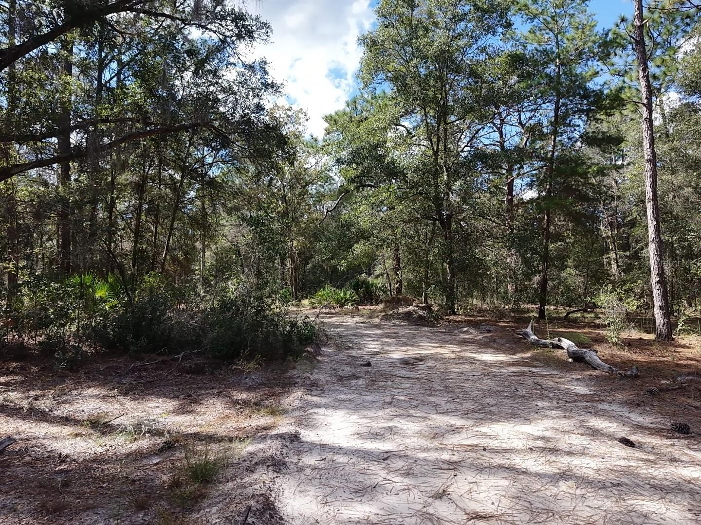 Driveway
