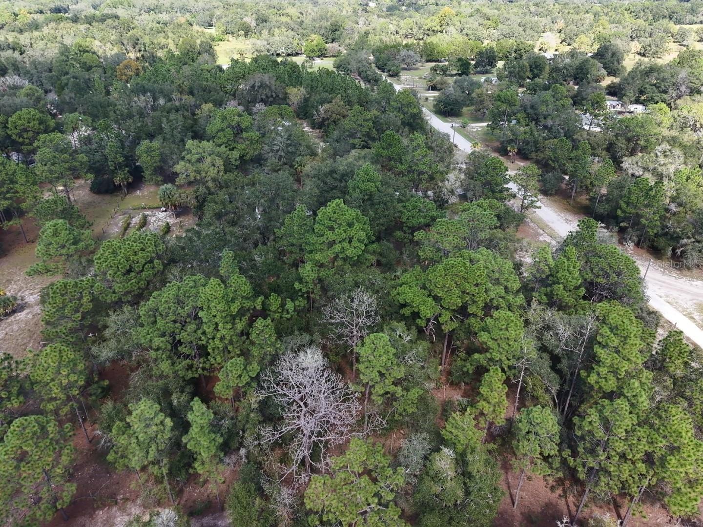 7416 N NATHAN POINT, Crystal River, FL 34428
