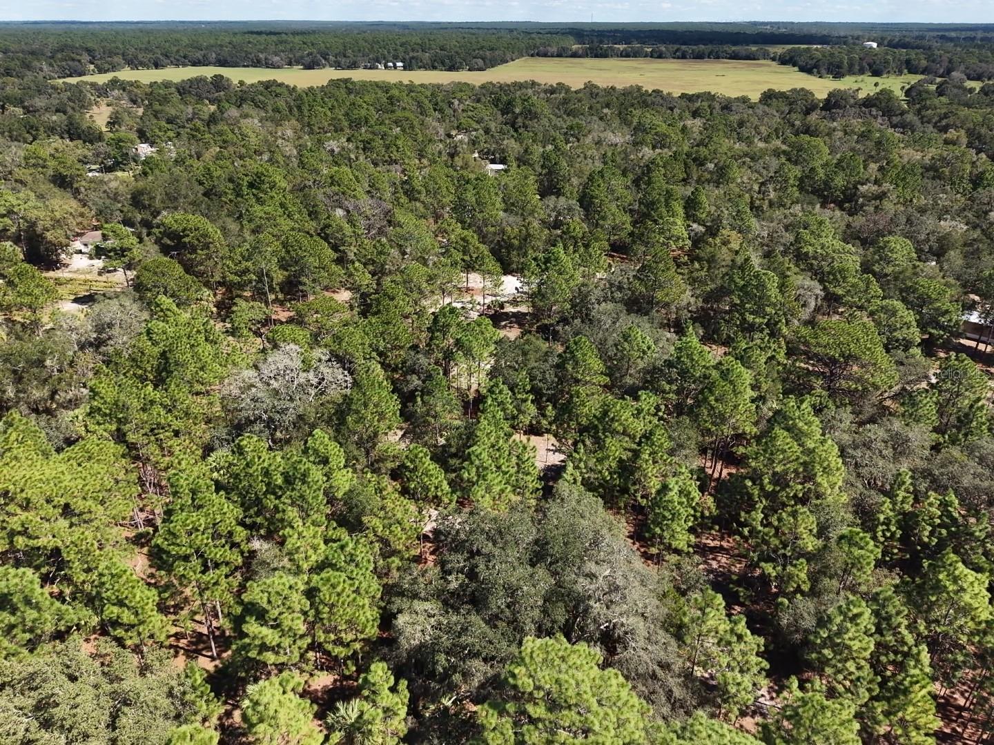 7416 N NATHAN POINT, Crystal River, FL 34428