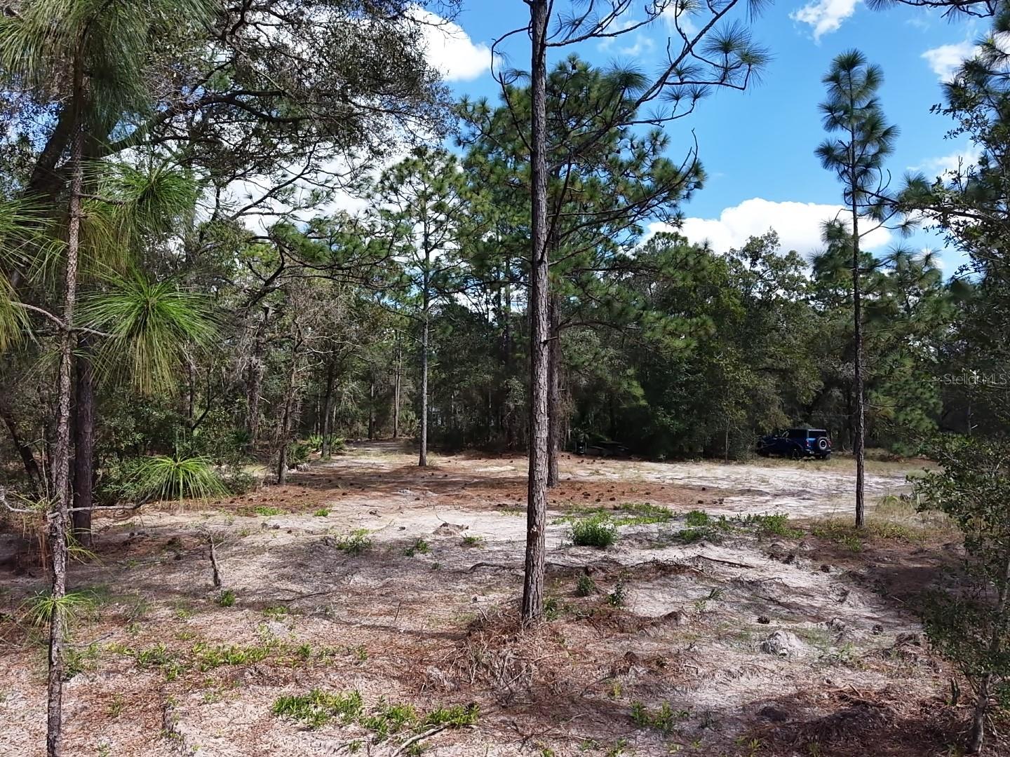 7416 N NATHAN POINT, Crystal River, FL 34428