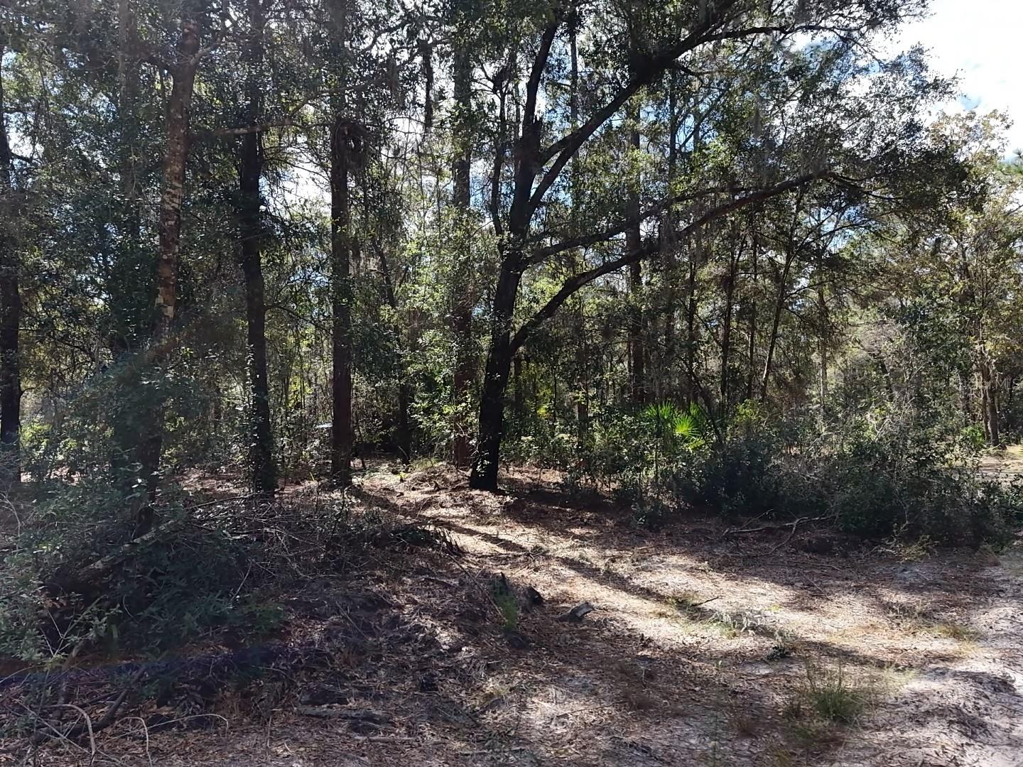 7416 N NATHAN POINT, Crystal River, FL 34428