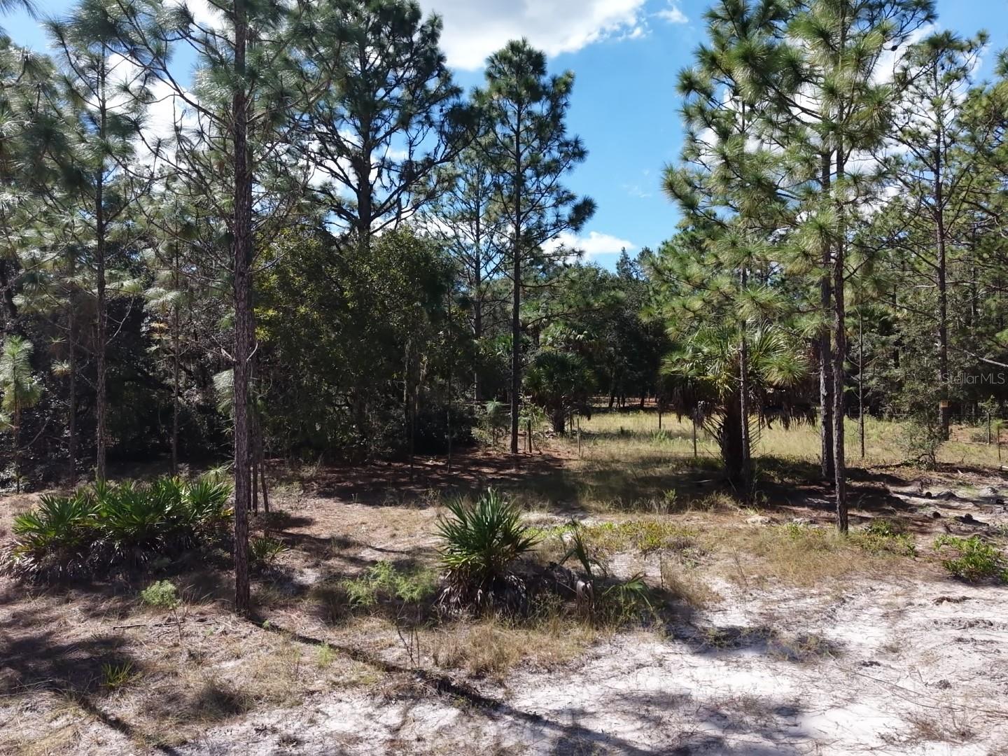 7416 N NATHAN POINT, Crystal River, FL 34428