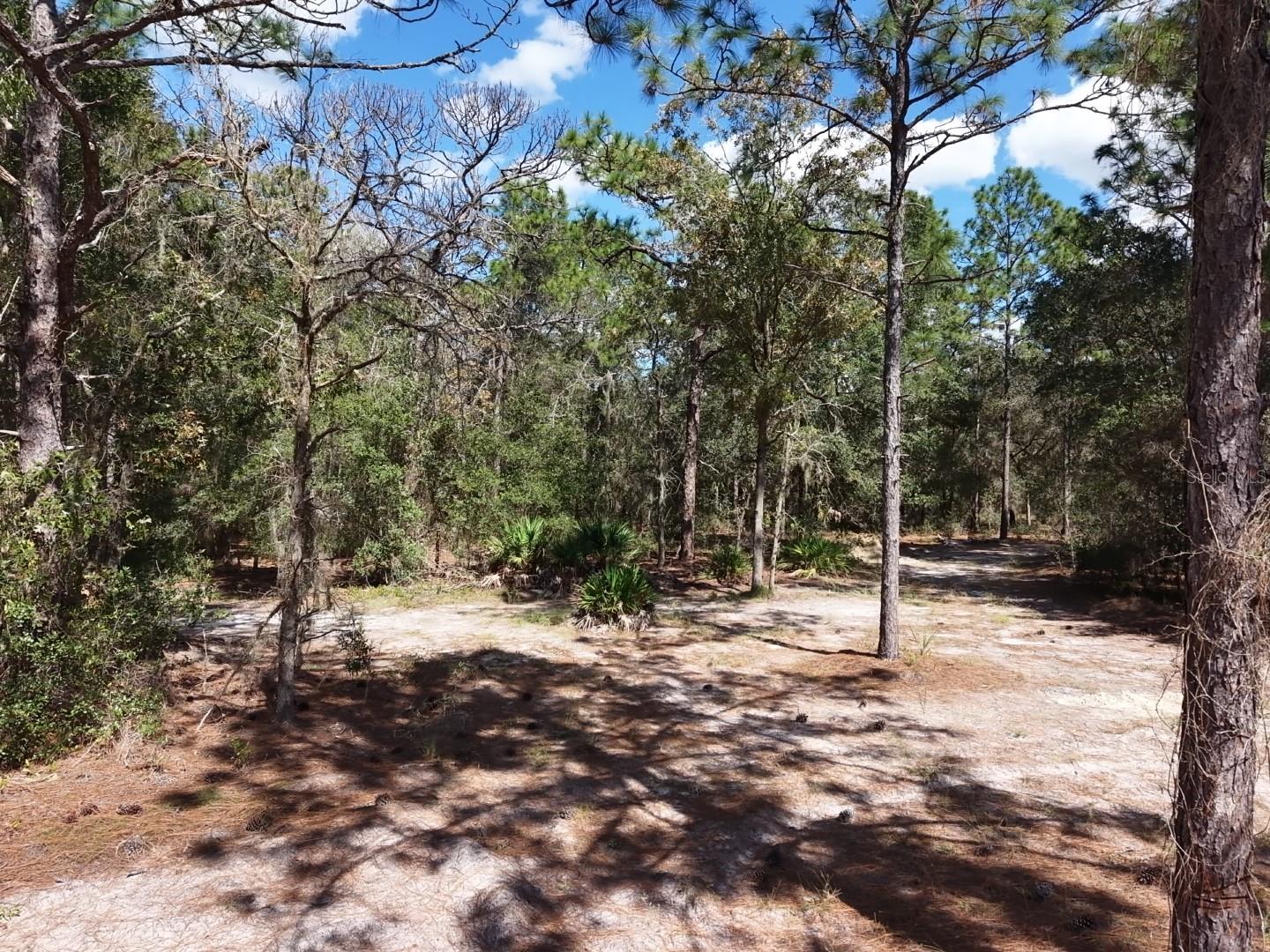 7416 N NATHAN POINT, Crystal River, FL 34428