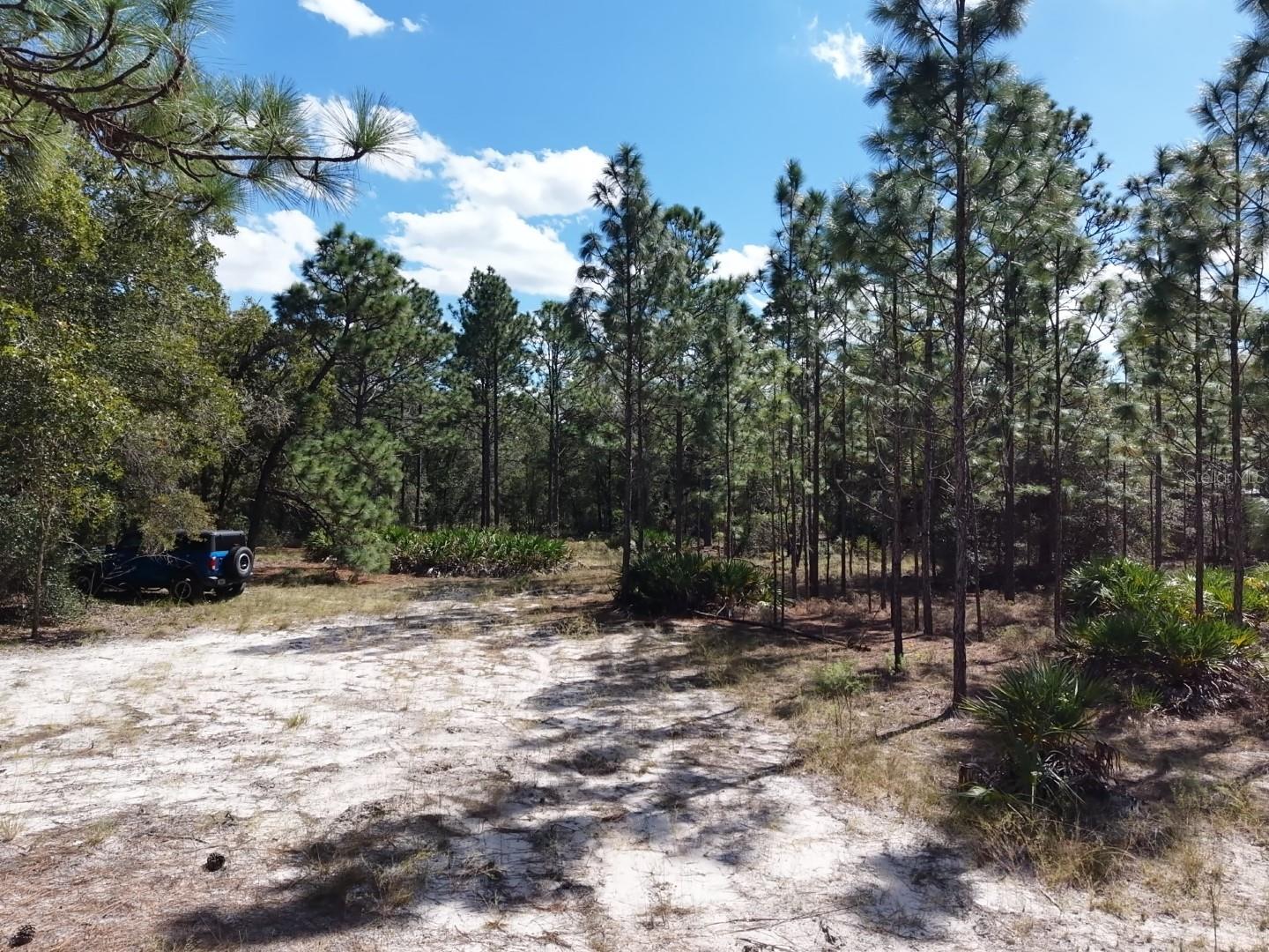7416 N NATHAN POINT, Crystal River, FL 34428