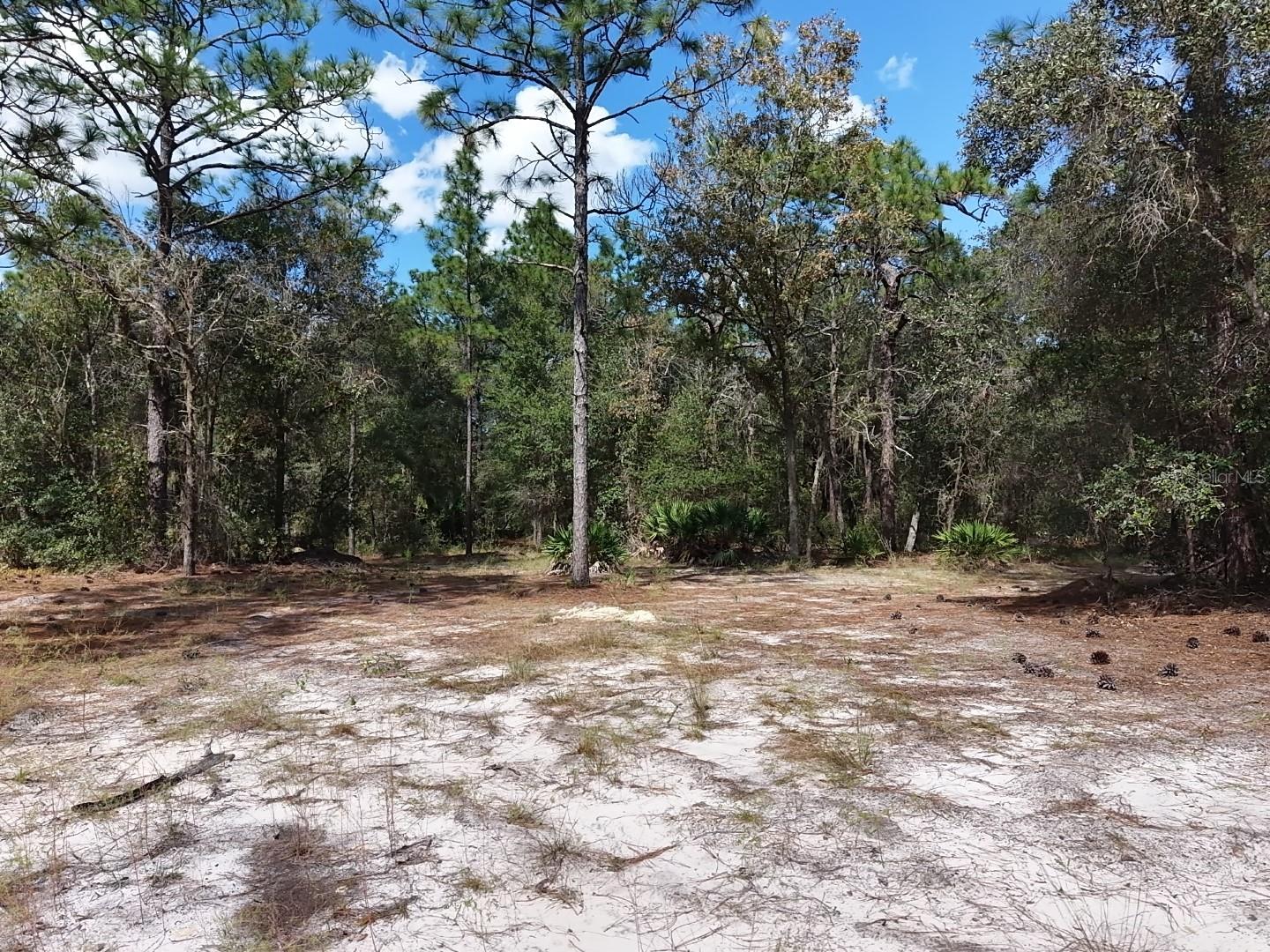 7416 N NATHAN POINT, Crystal River, FL 34428