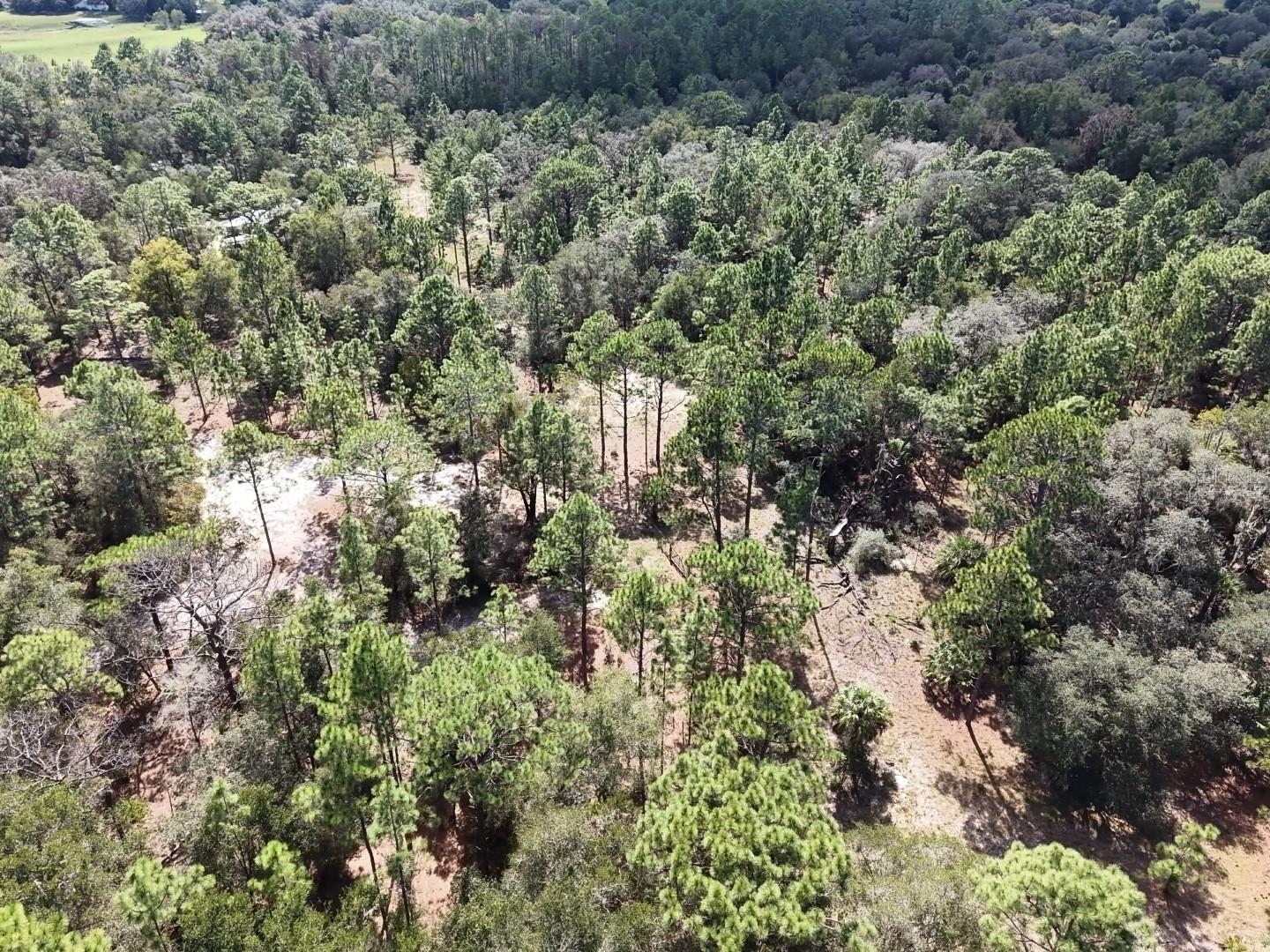 7416 N NATHAN POINT, Crystal River, FL 34428