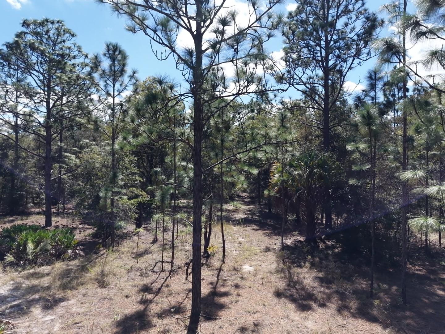 7416 N NATHAN POINT, Crystal River, FL 34428
