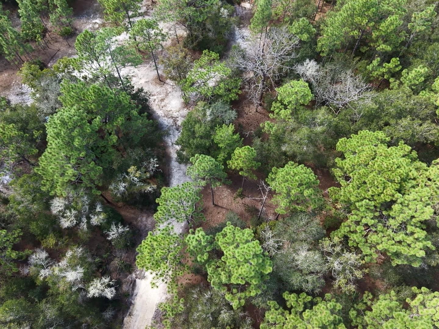 7416 N NATHAN POINT, Crystal River, FL 34428