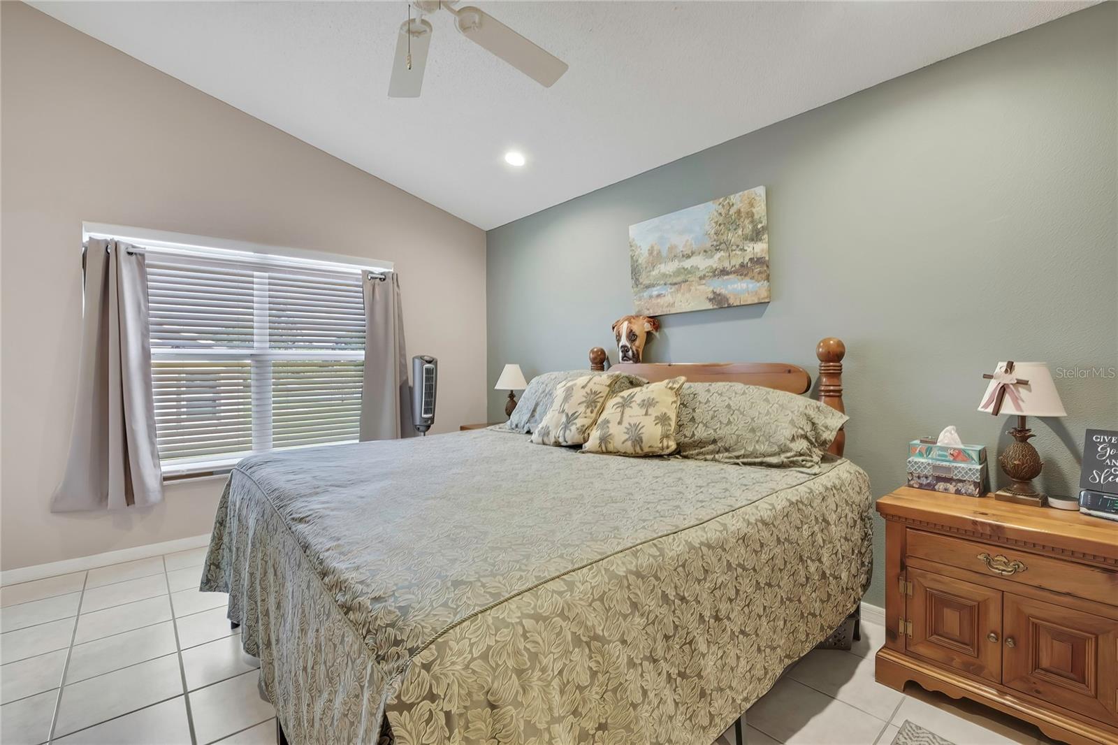 284 QUANE AVENUE, Spring Hill, FL 34609