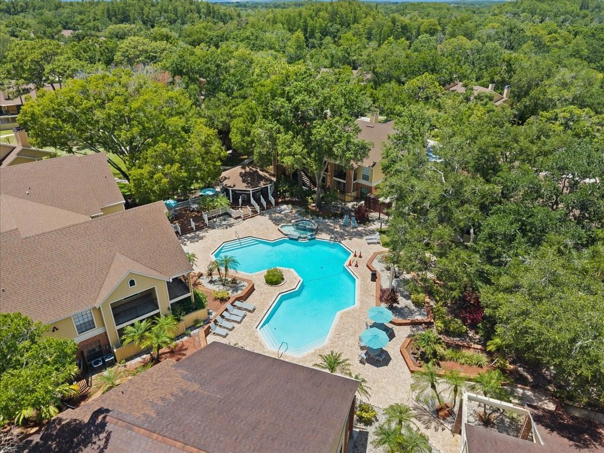 8625 FANCY FINCH DRIVE, #102, Tampa, FL 33614