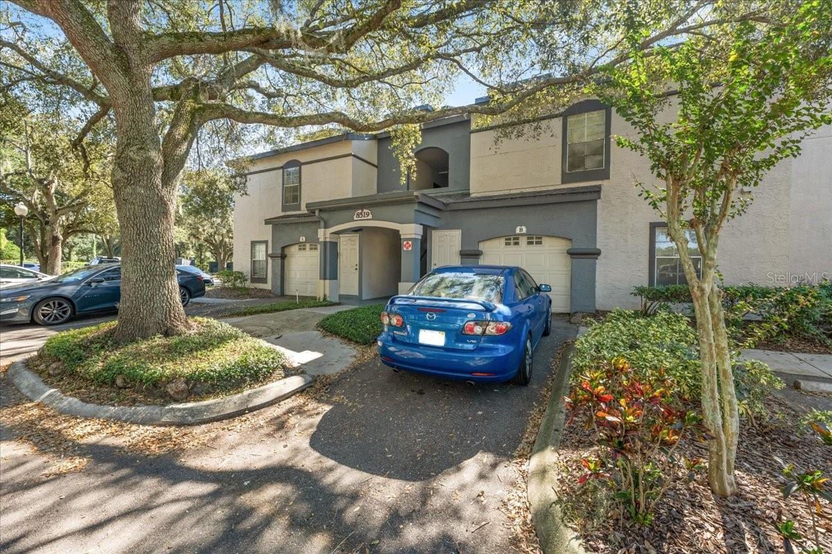 8519 ISLAND BREEZE LANE, #101, Temple Terrace, FL 33637