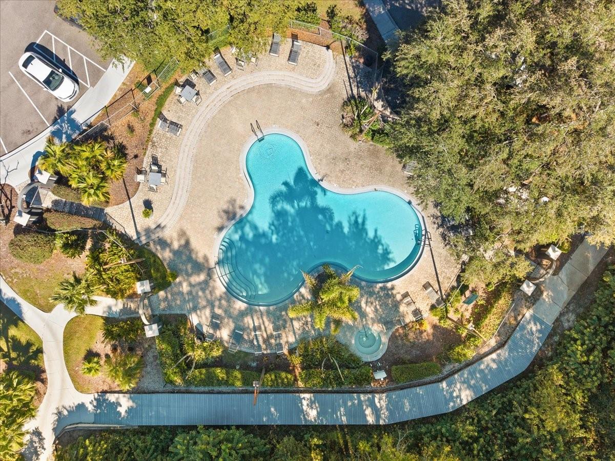 8519 ISLAND BREEZE LANE, #101, Temple Terrace, FL 33637 8519 ISLAND BREEZE LANE, #101, Temple Terrace, FL 33637