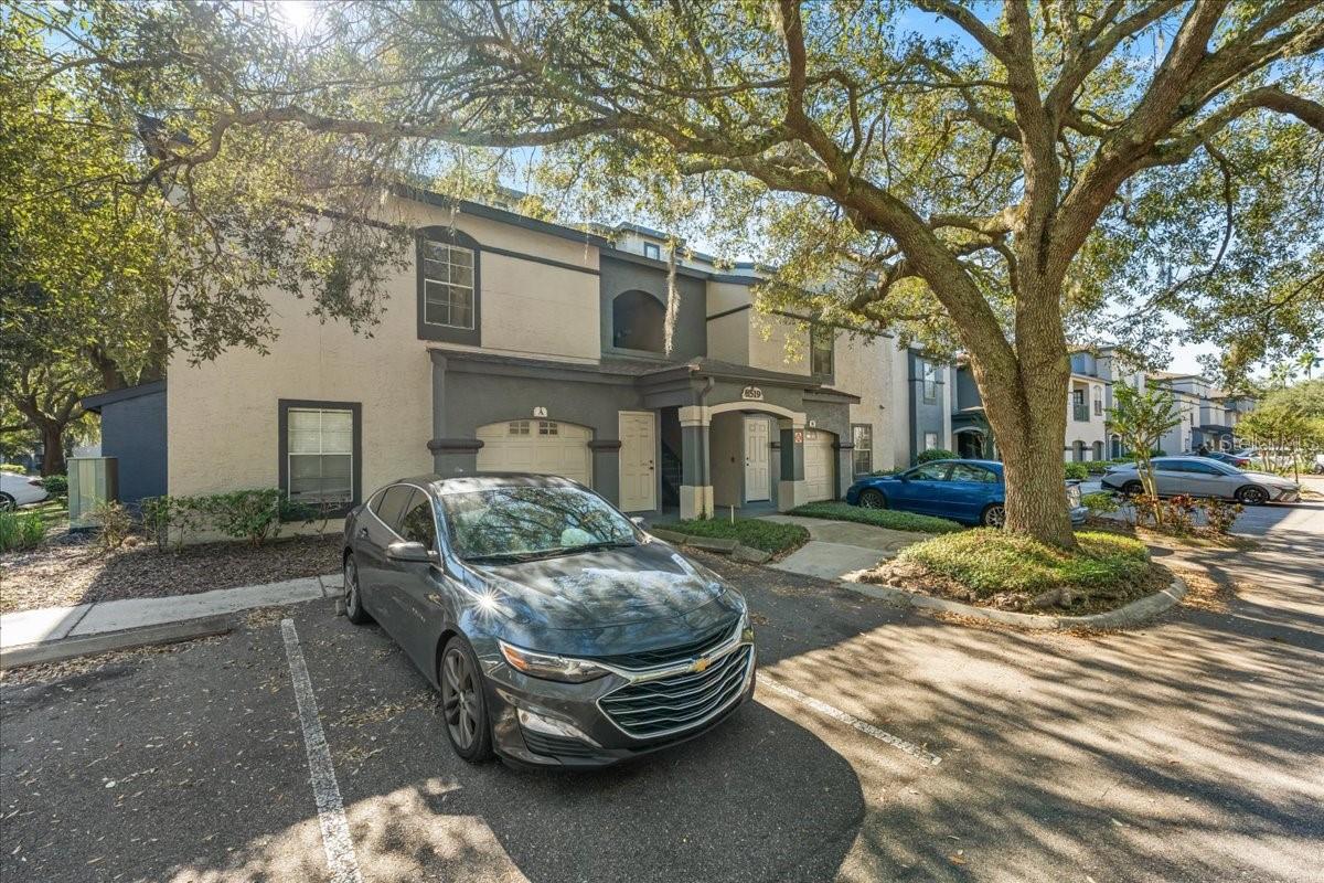 8519 ISLAND BREEZE LANE, #101, Temple Terrace, FL 33637 8519 ISLAND BREEZE LANE, #101, Temple Terrace, FL 33637
