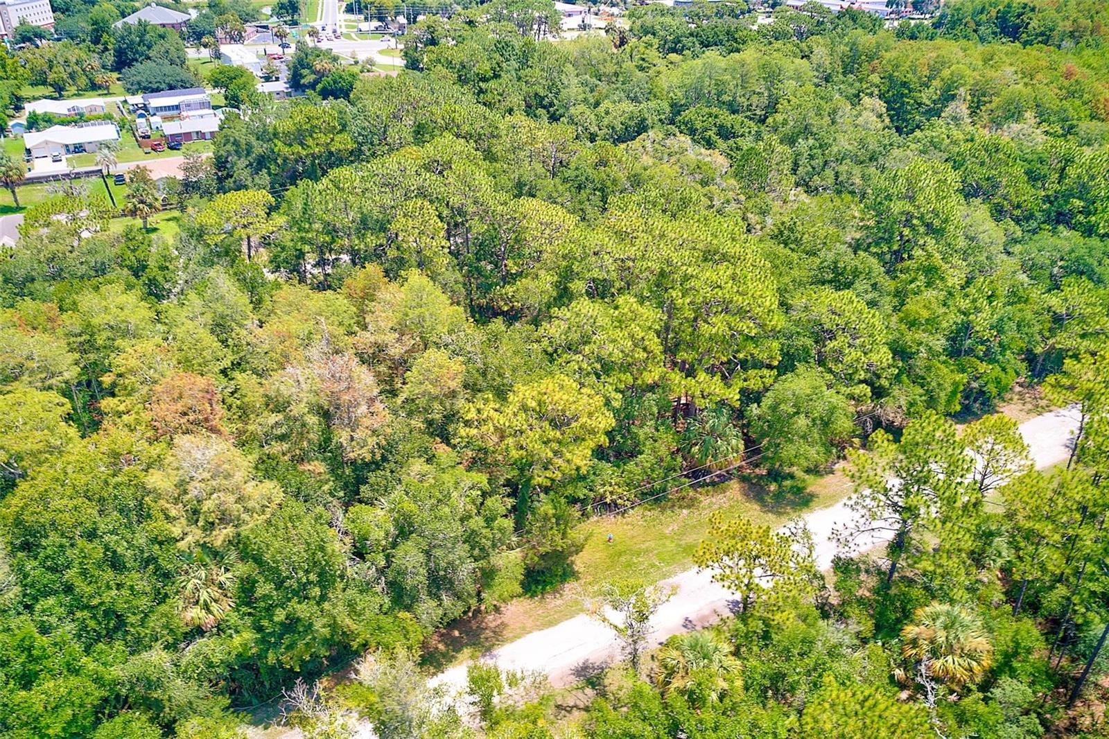 1253 NE 1ST STREET, Crystal River, FL 34429