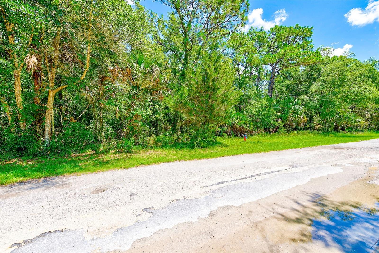 1253 NE 1ST STREET, Crystal River, FL 34429 1253 NE 1ST STREET, Crystal River, FL 34429