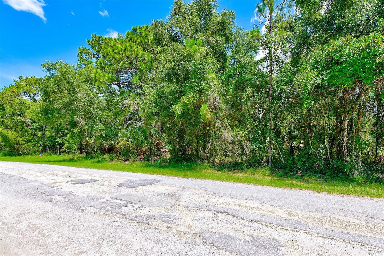 1253 NE 1ST STREET, Crystal River, FL 34429