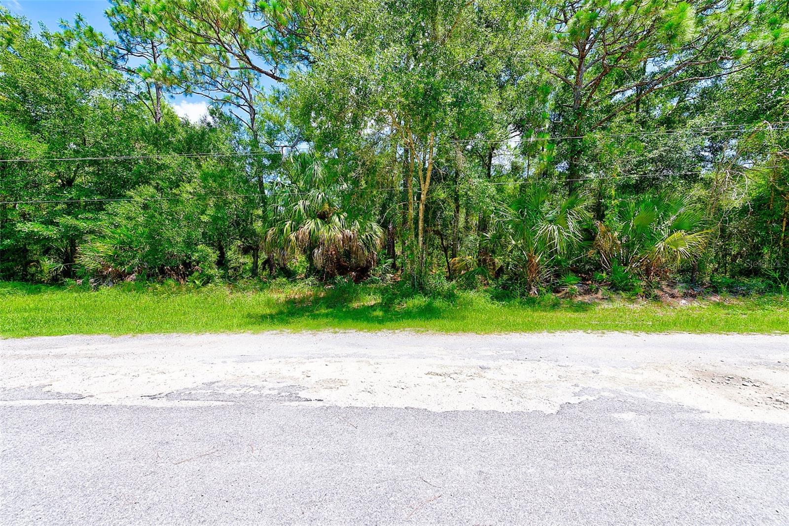 1253 NE 1ST STREET, Crystal River, FL 34429