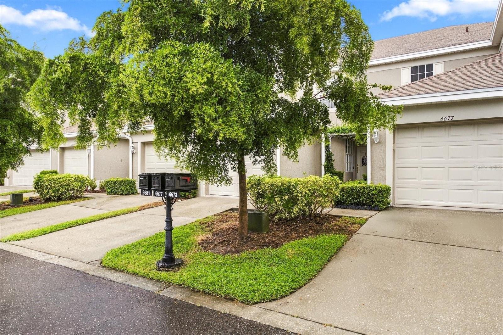 6681 80TH AVENUE N, Pinellas Park, FL 33781 6681 80TH AVENUE N, Pinellas Park, FL 33781