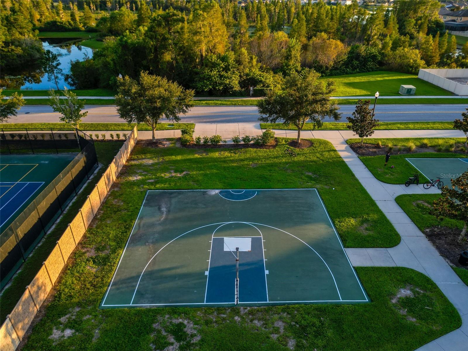 1961 MILKWEED TRACE, Lutz, FL 33558