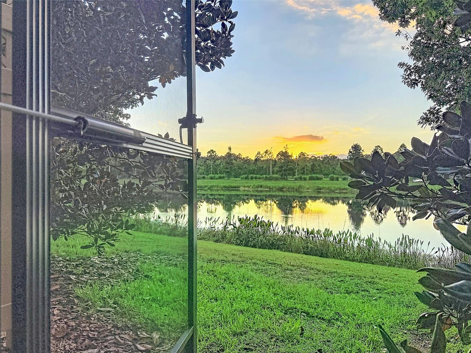 1961 MILKWEED TRACE, Lutz, FL 33558