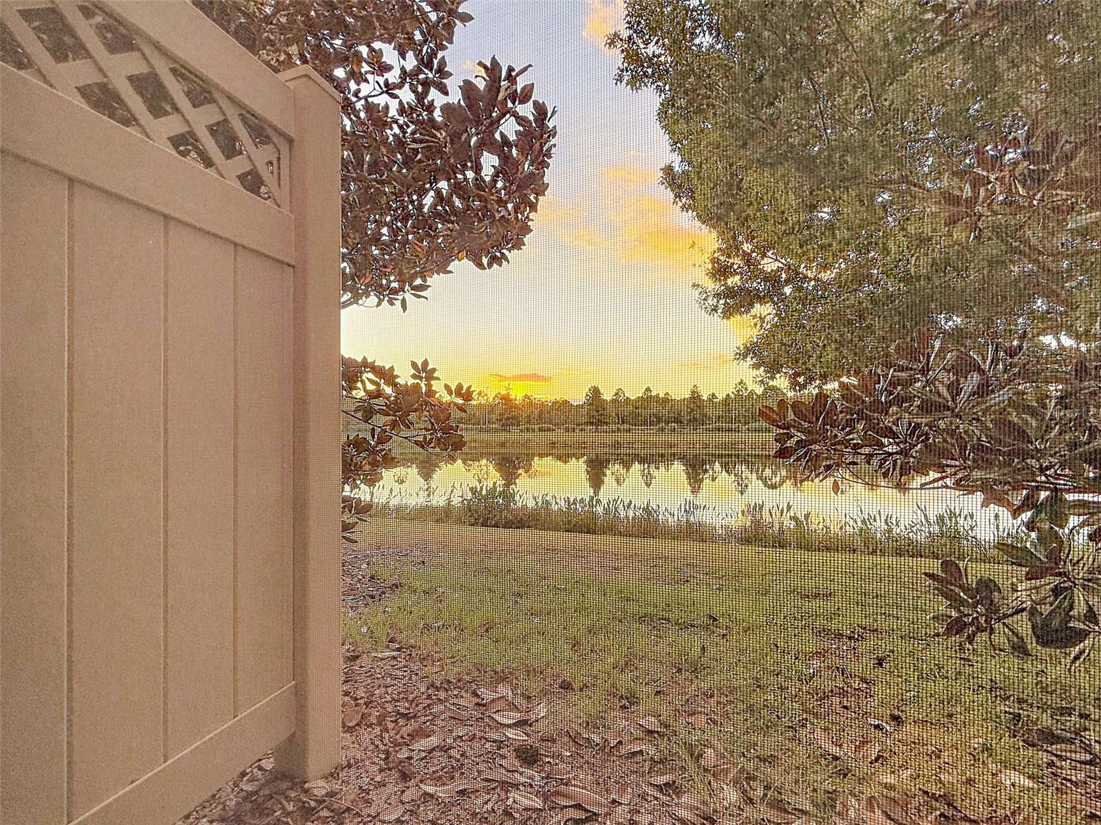 1961 MILKWEED TRACE, Lutz, FL 33558