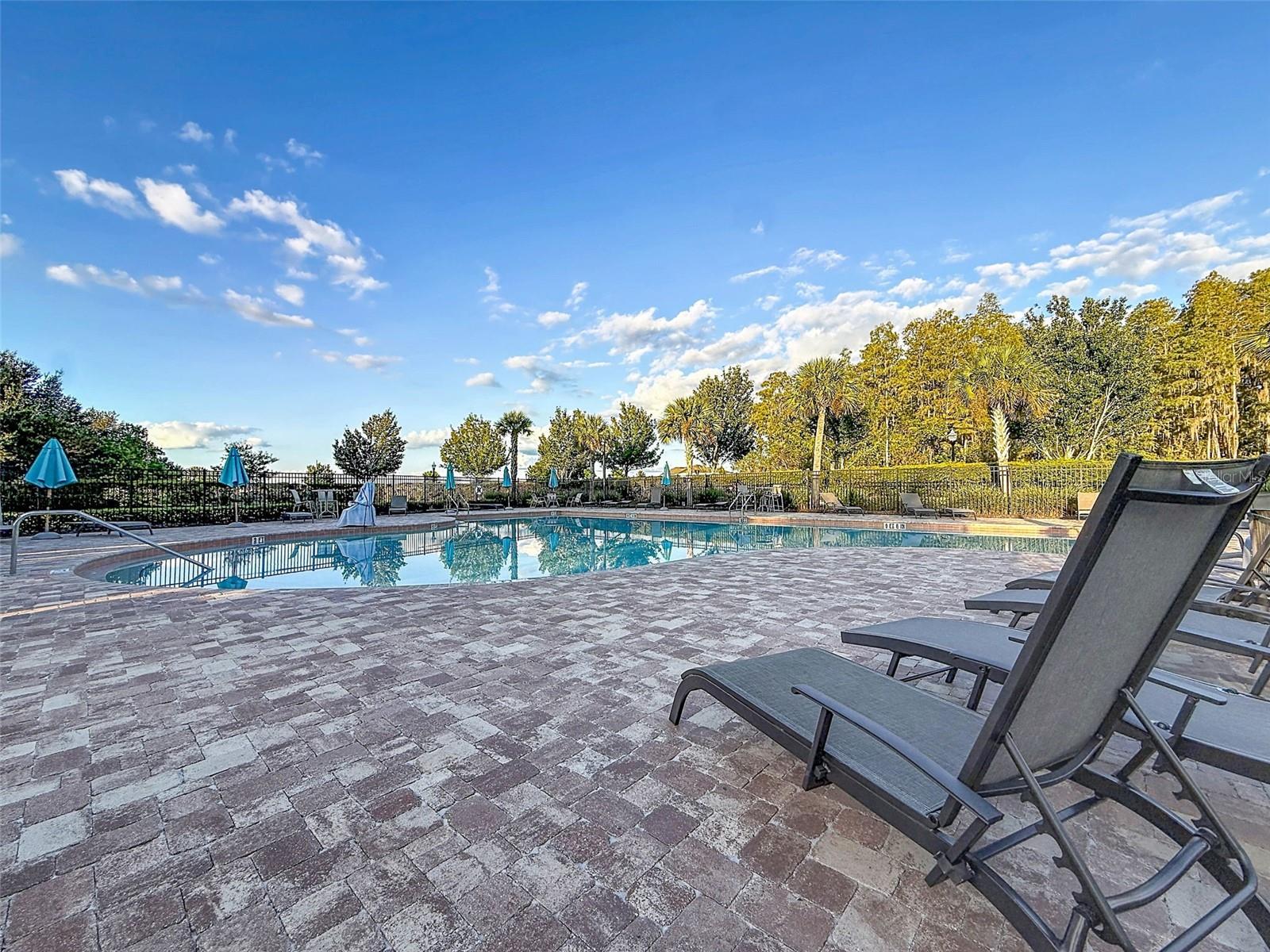 1961 MILKWEED TRACE, Lutz, FL 33558