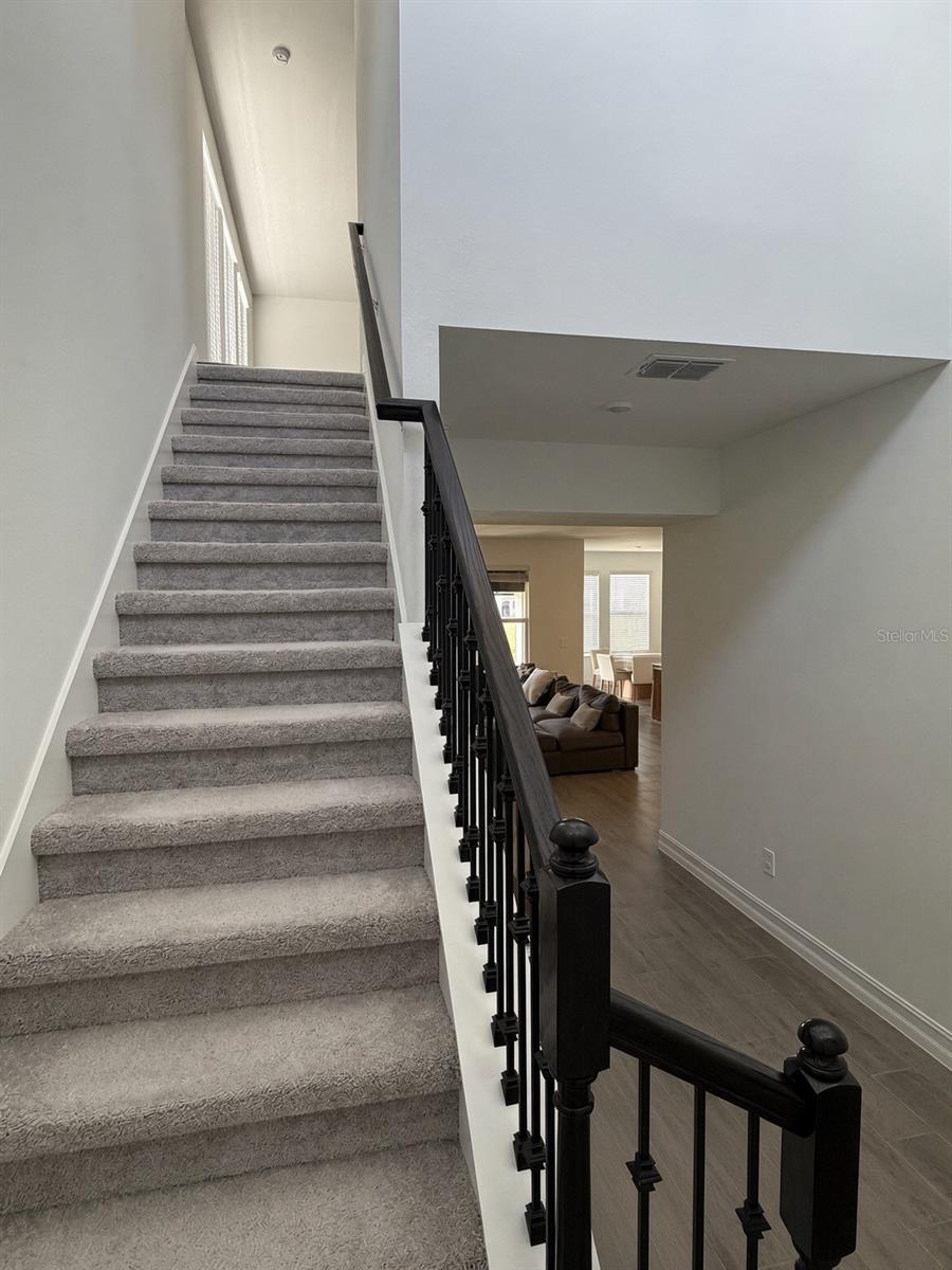 18125 SERENE LAKE LOOP, Lutz, FL 33548