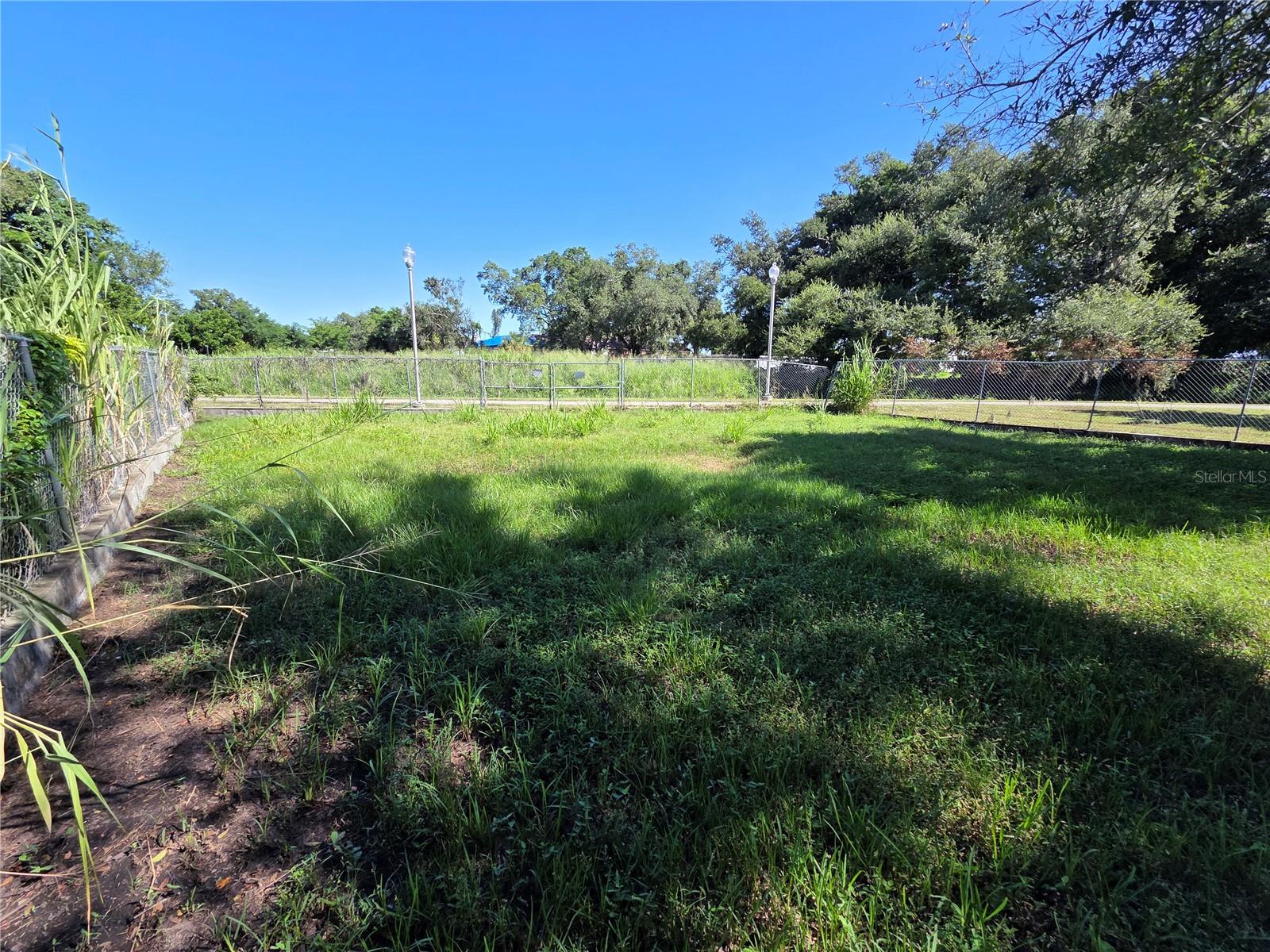 Expansive Yard Space
