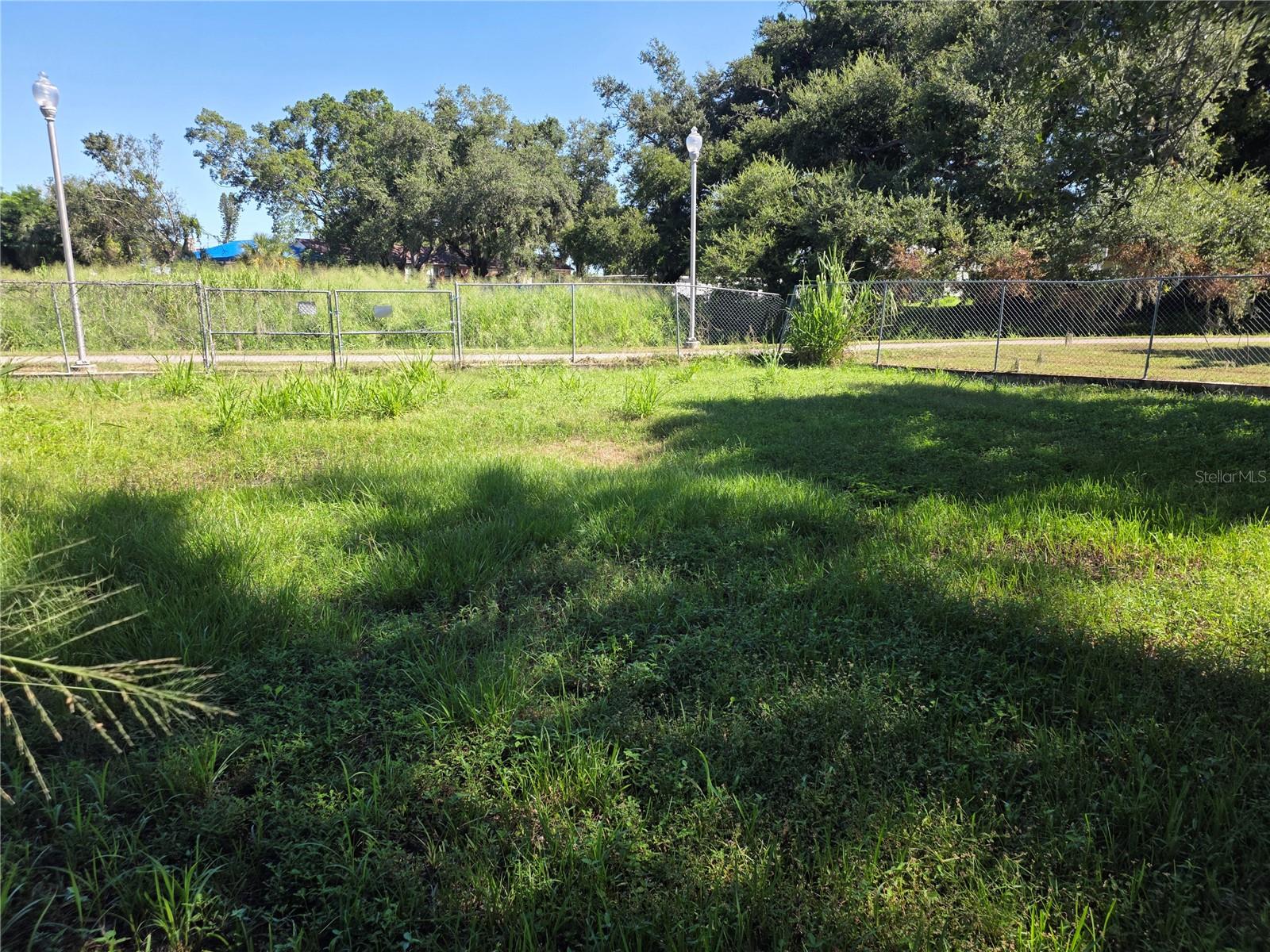 Spacious Front Yard